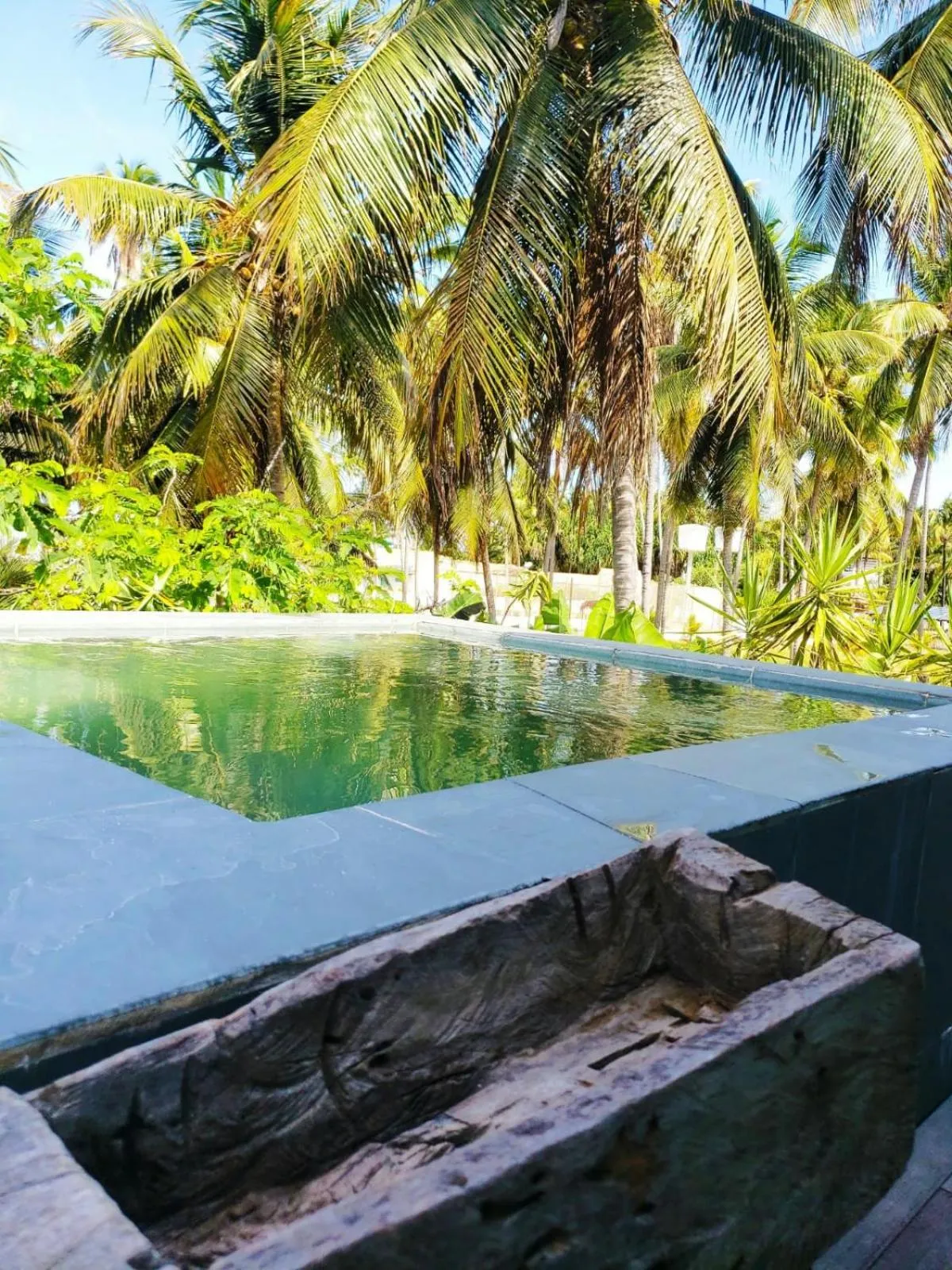 Balcony/Terrace in Pedras Do Patacho Hotel Boutique Experience