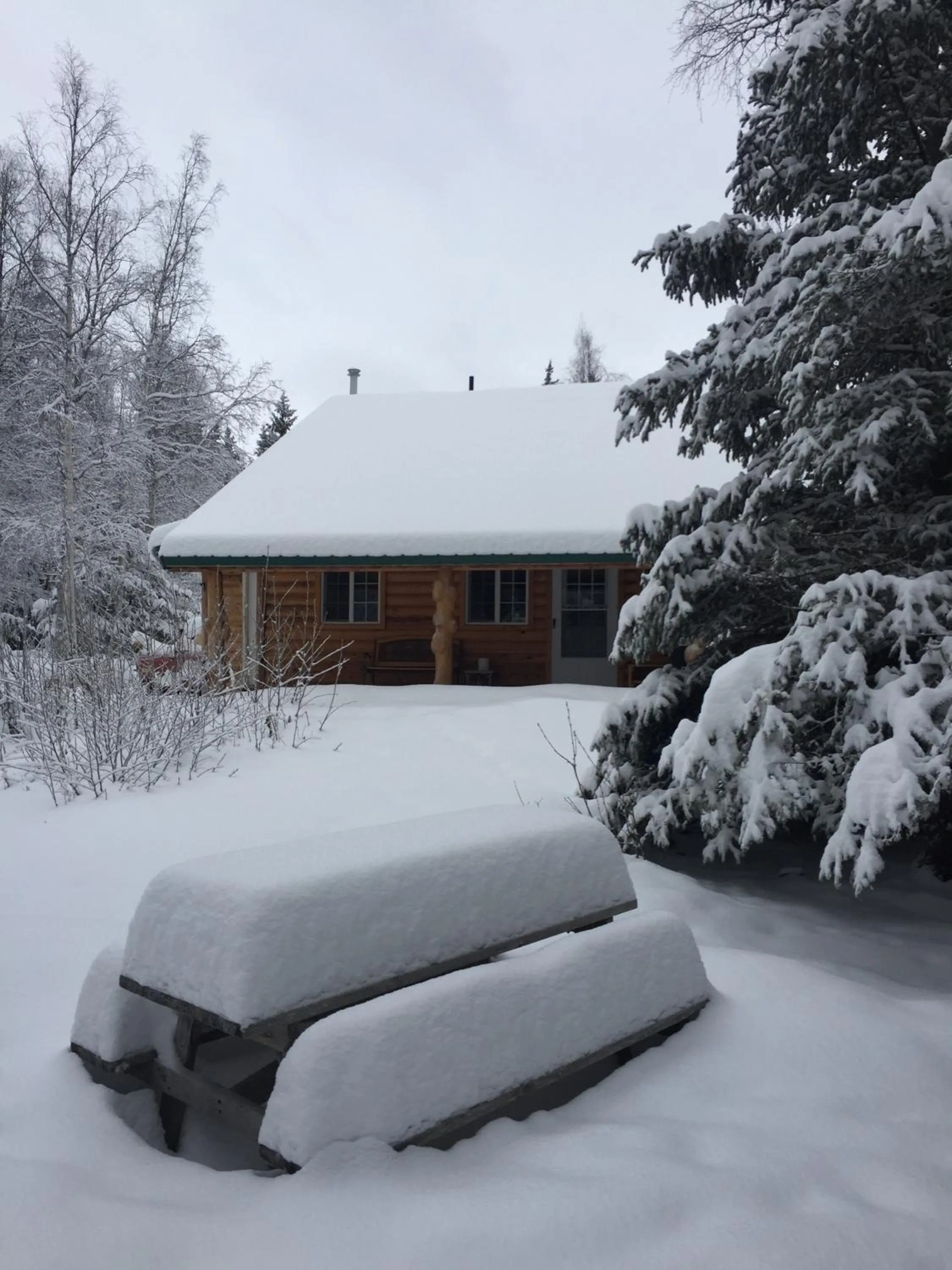 Winter in Hope's Hideaway, LLC