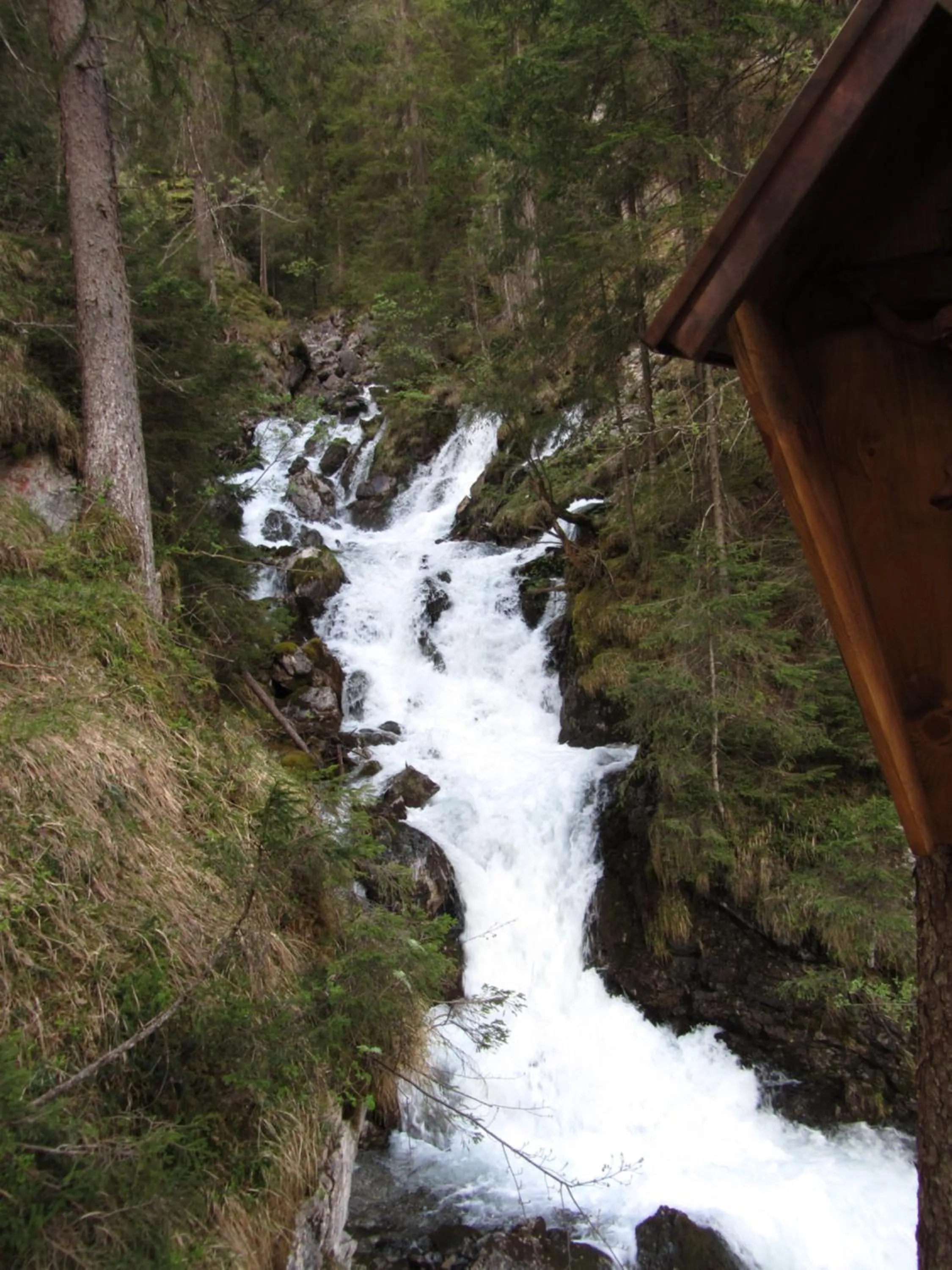 Natural landscape in Gasthof Sonne Häselgehr