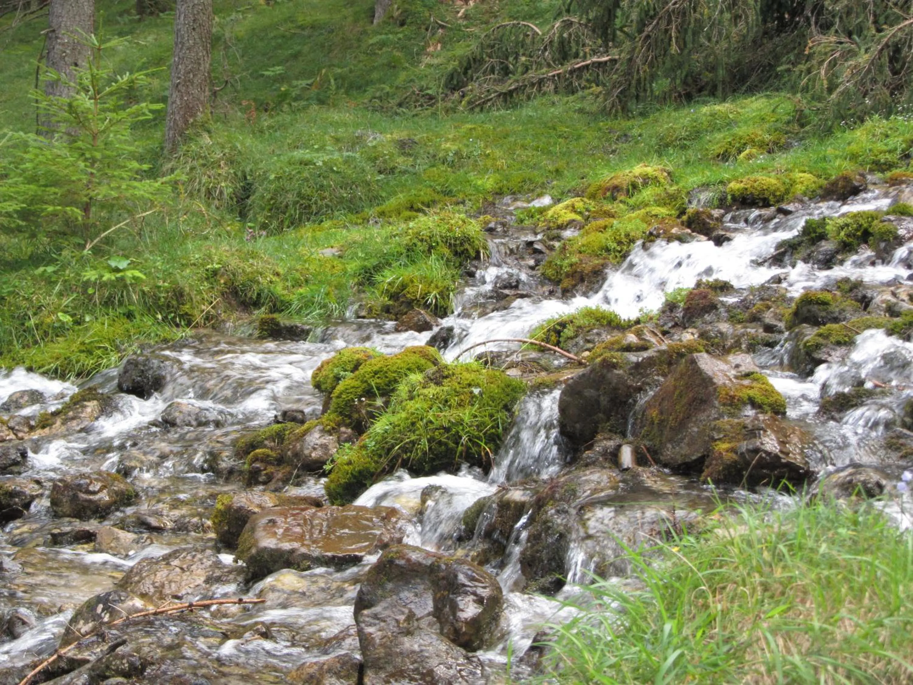 Natural landscape in Gasthof Sonne Häselgehr