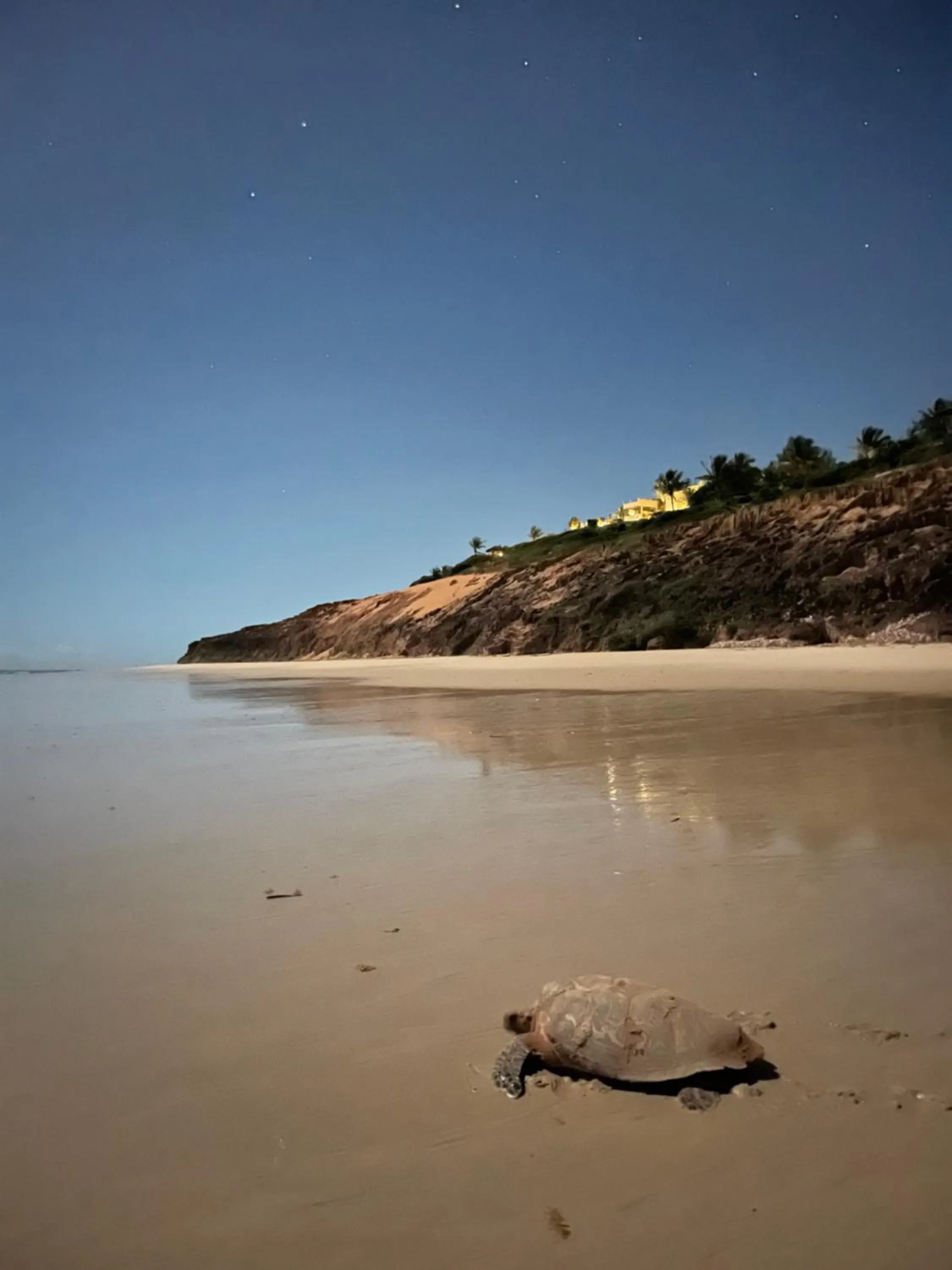 Night in Kilombo Villas & Spa