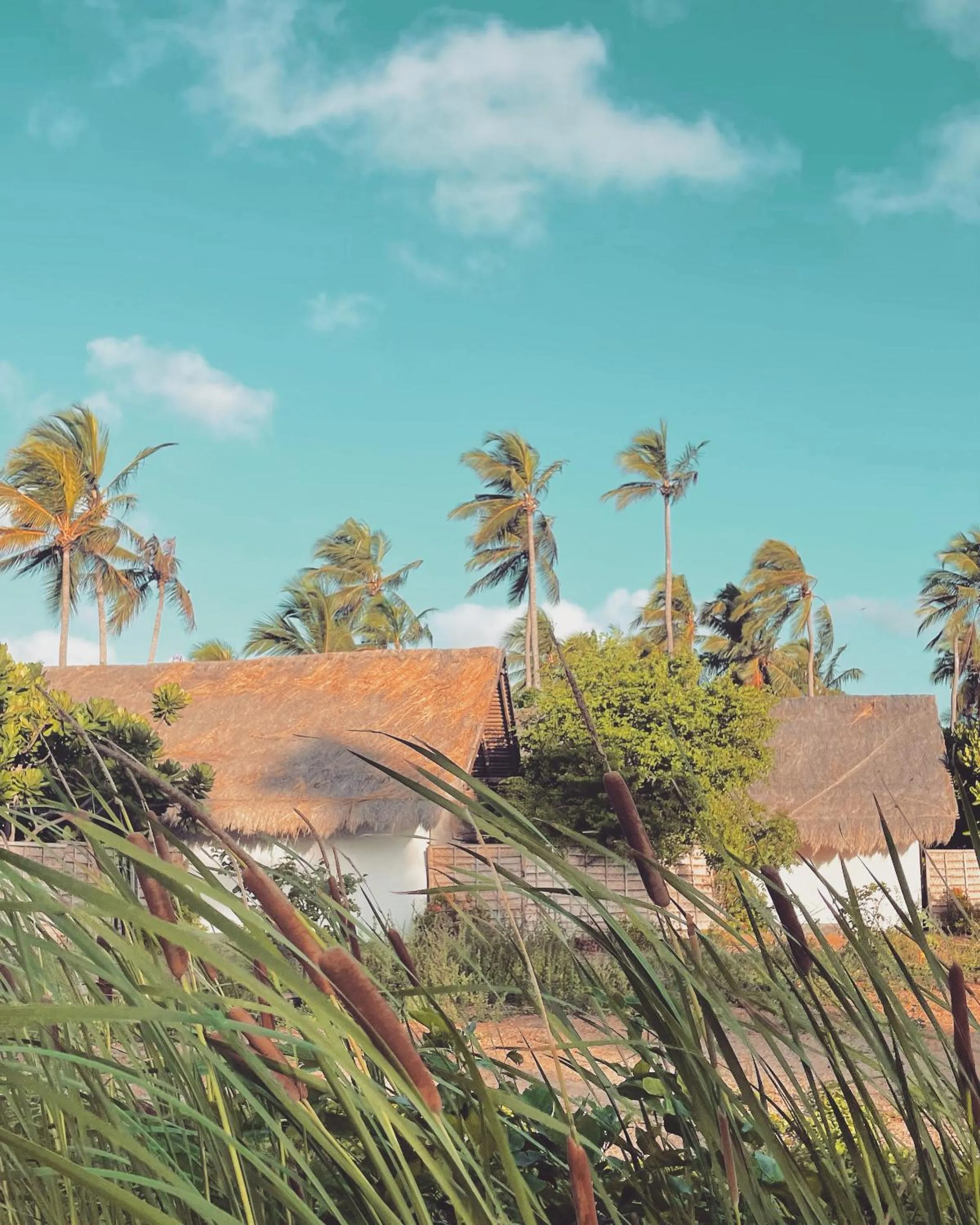 Property building in Blue Whale Resort & Kite Surfing