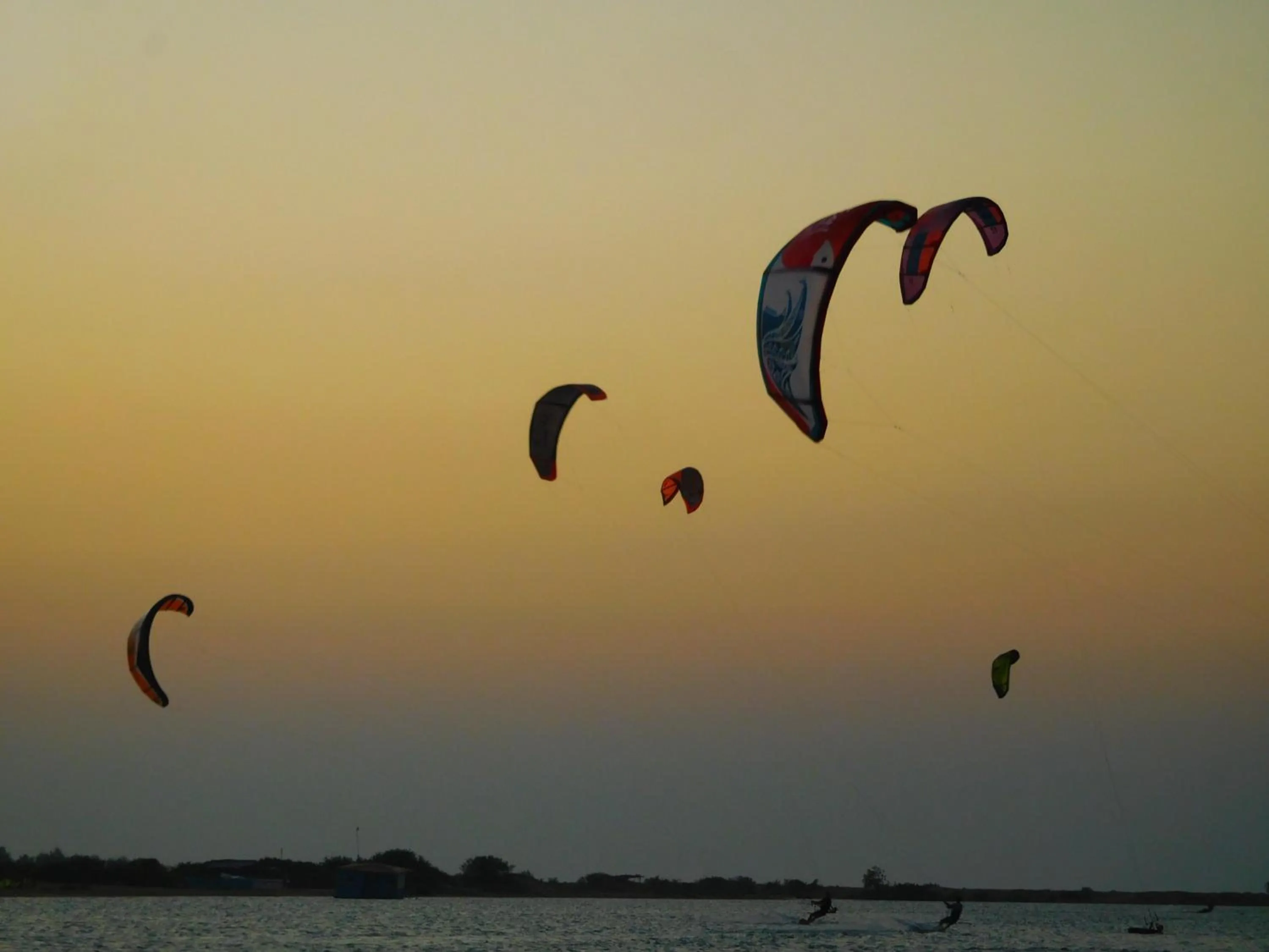 Windsurfing in Blue Whale Resort & Kite Surfing