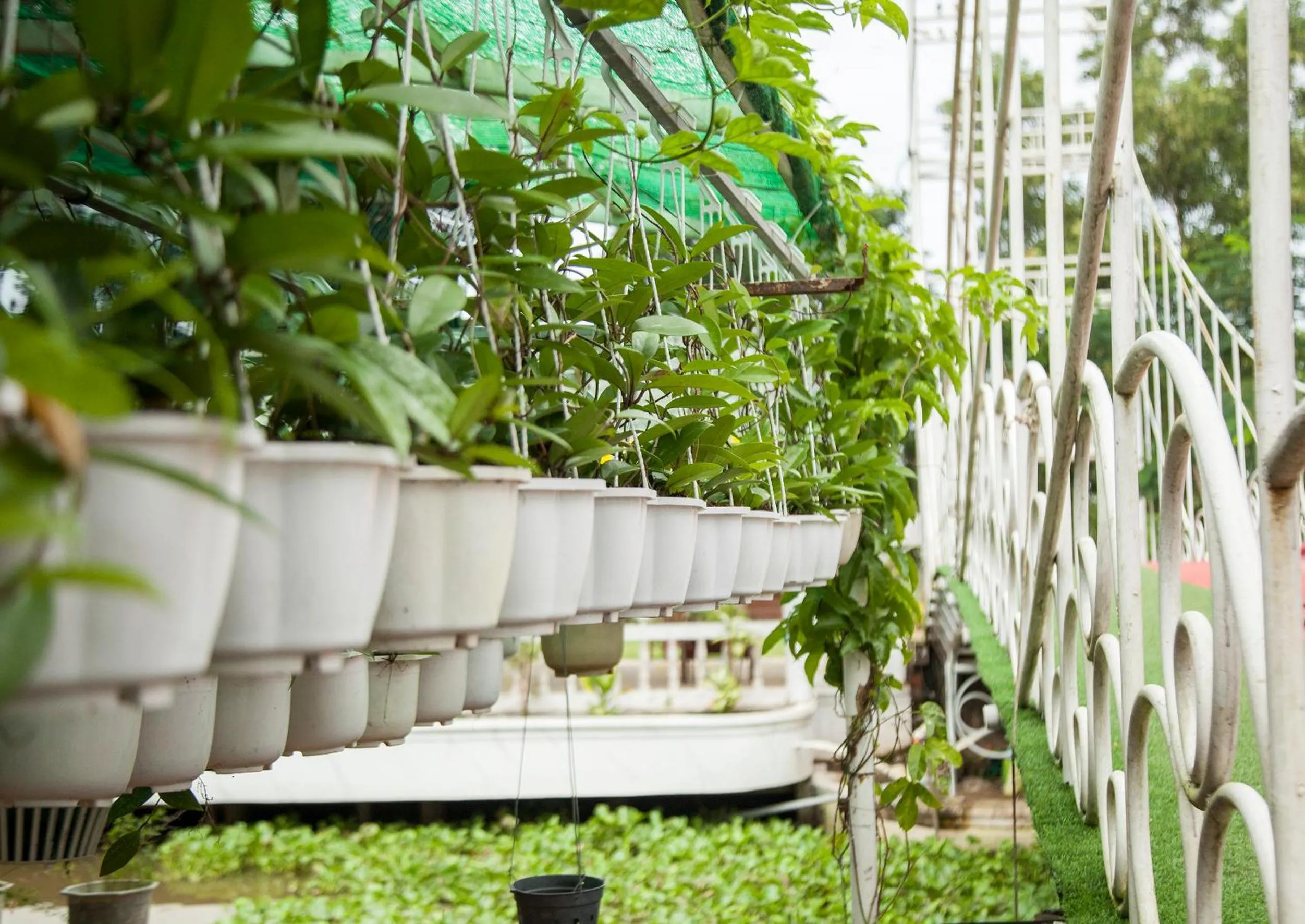 Property building in Satraco Royal Hotel