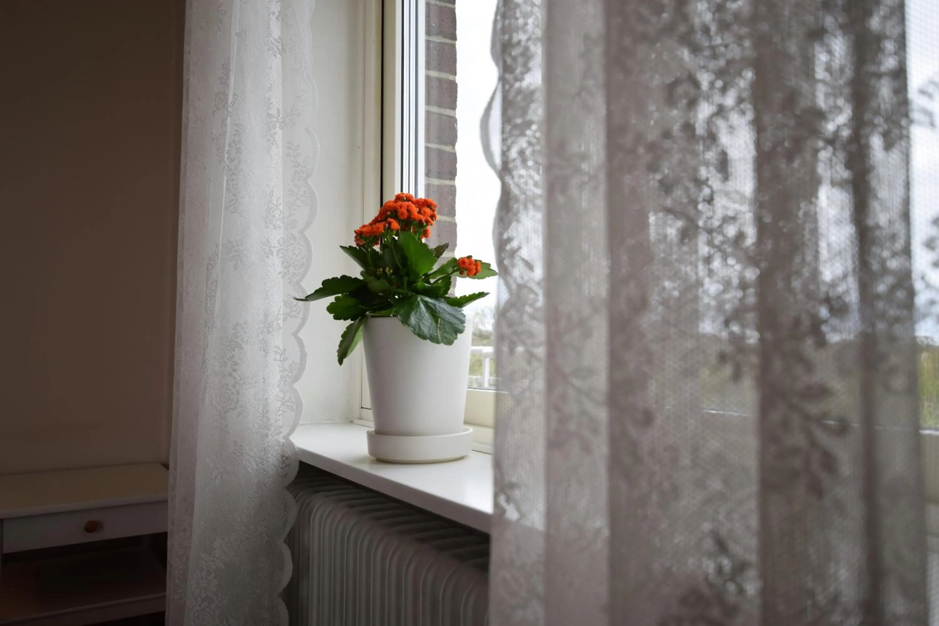 Decorative detail in Bläsinge Gård Kullabygden