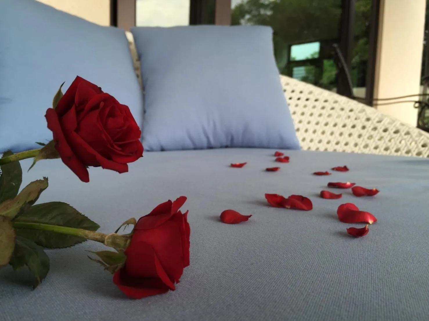 Property building, Bed in Kurumba JiJi B&B