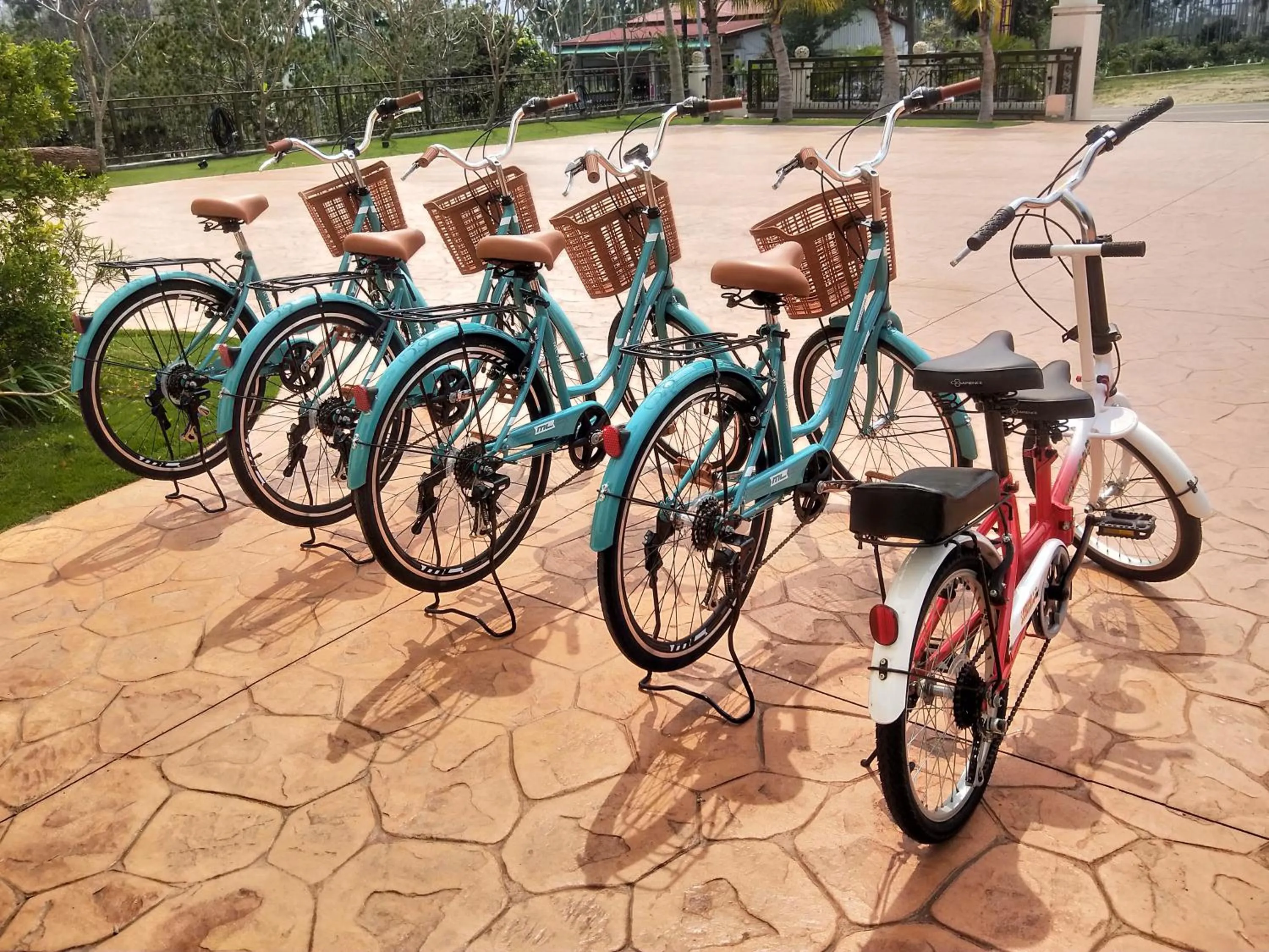 Activities in Kurumba JiJi B&B