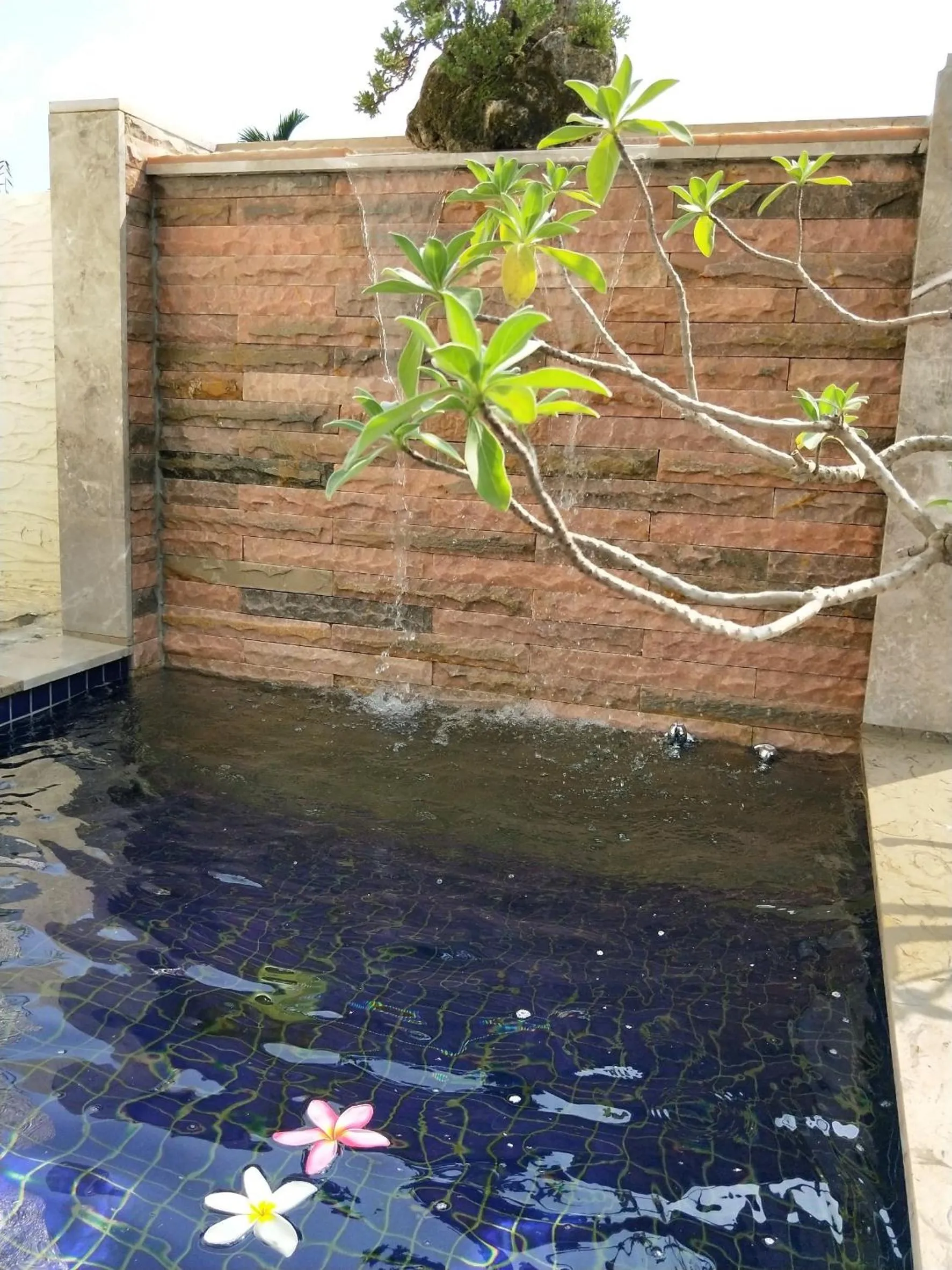 View (from property/room) in Kurumba JiJi B&B