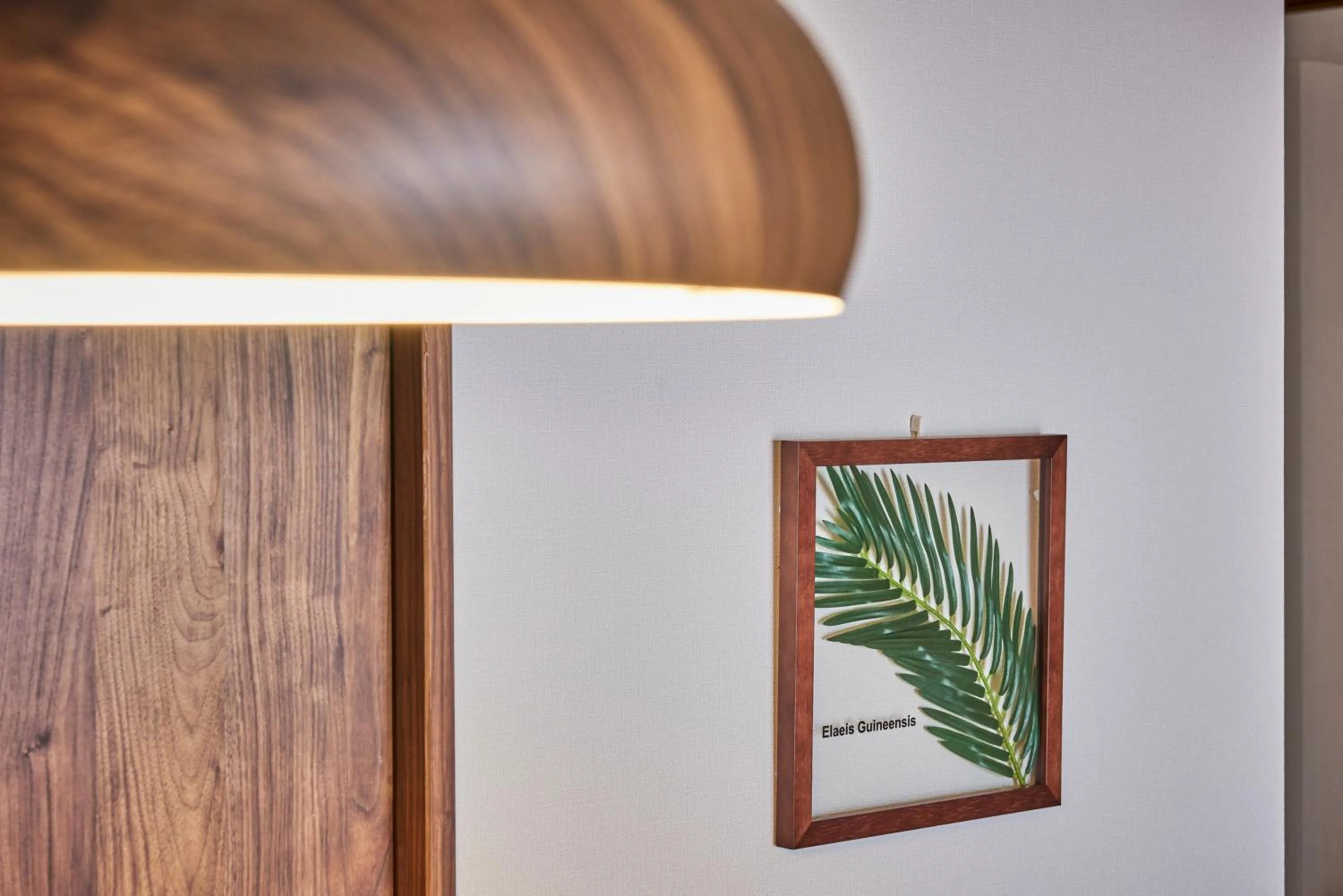 Photo of the whole room in 今日都 Kyoto Guesthouse