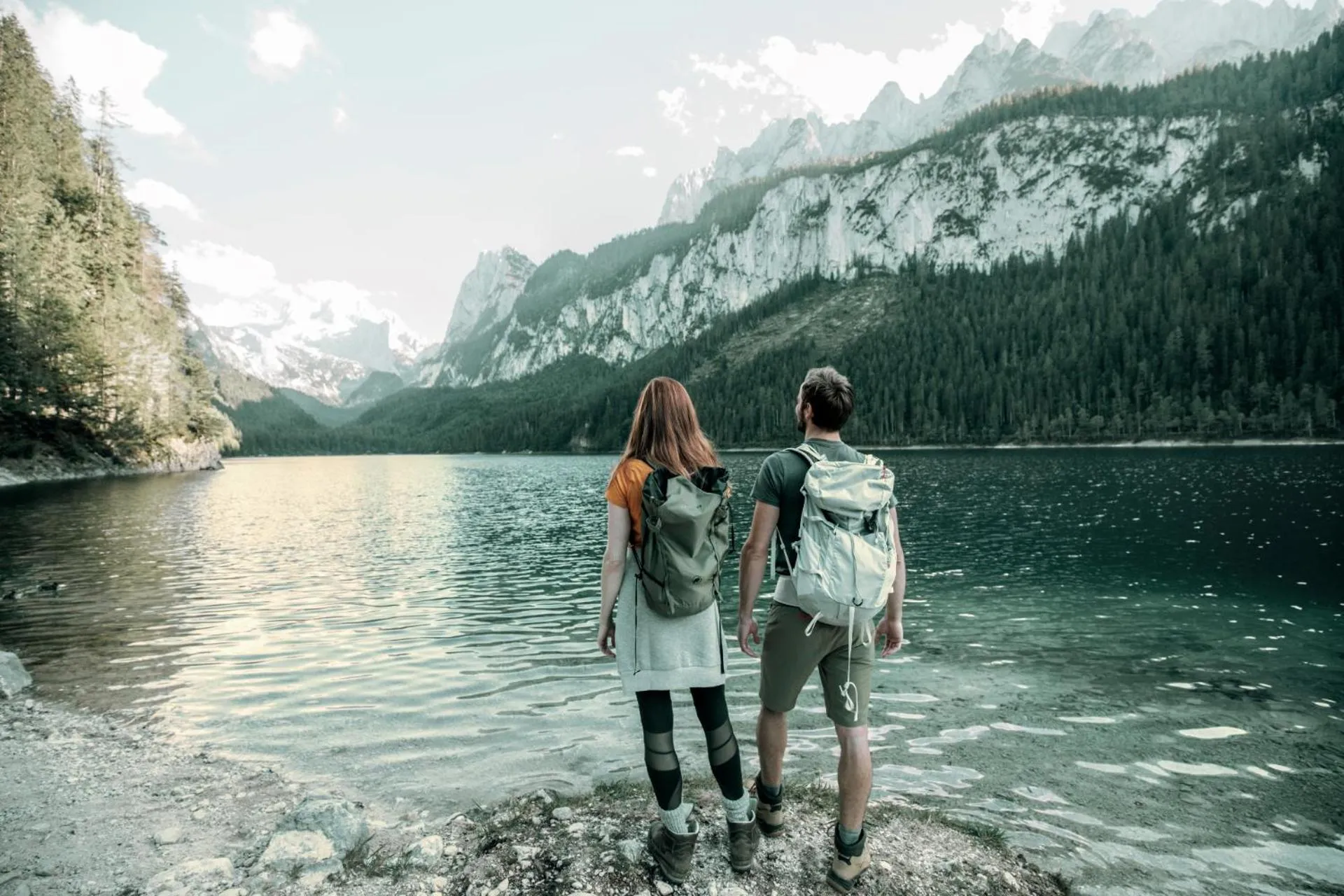 Natural landscape in Vitalhotel Gosau