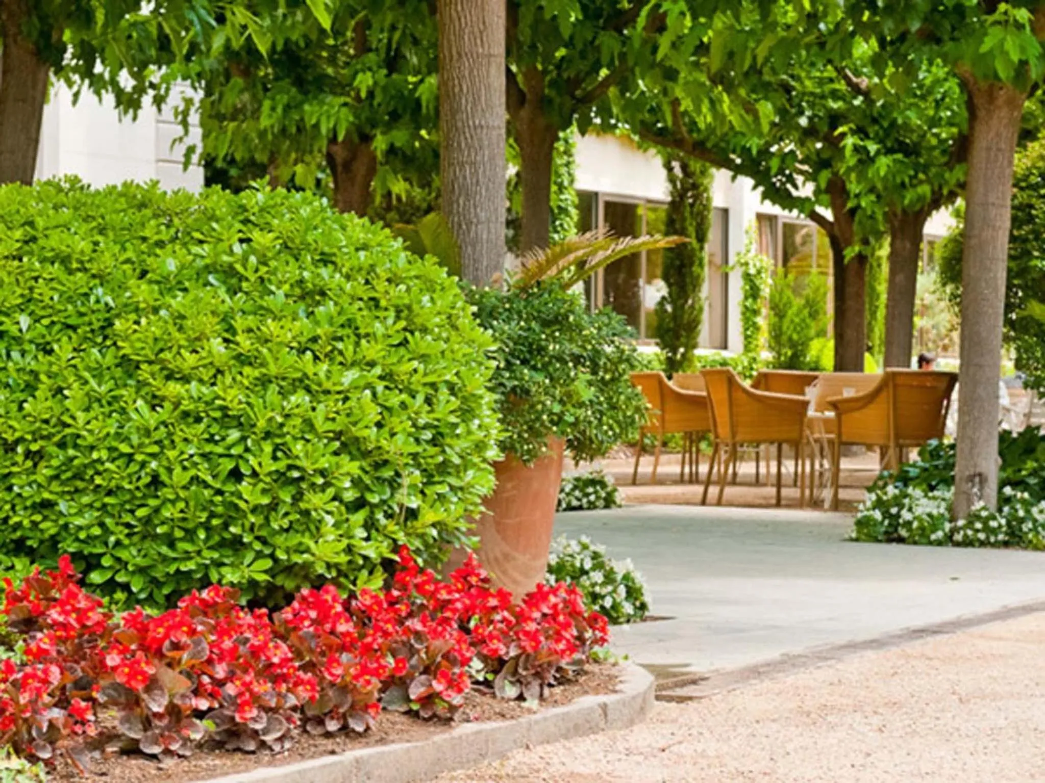 Garden in Hotel Balneario Prats