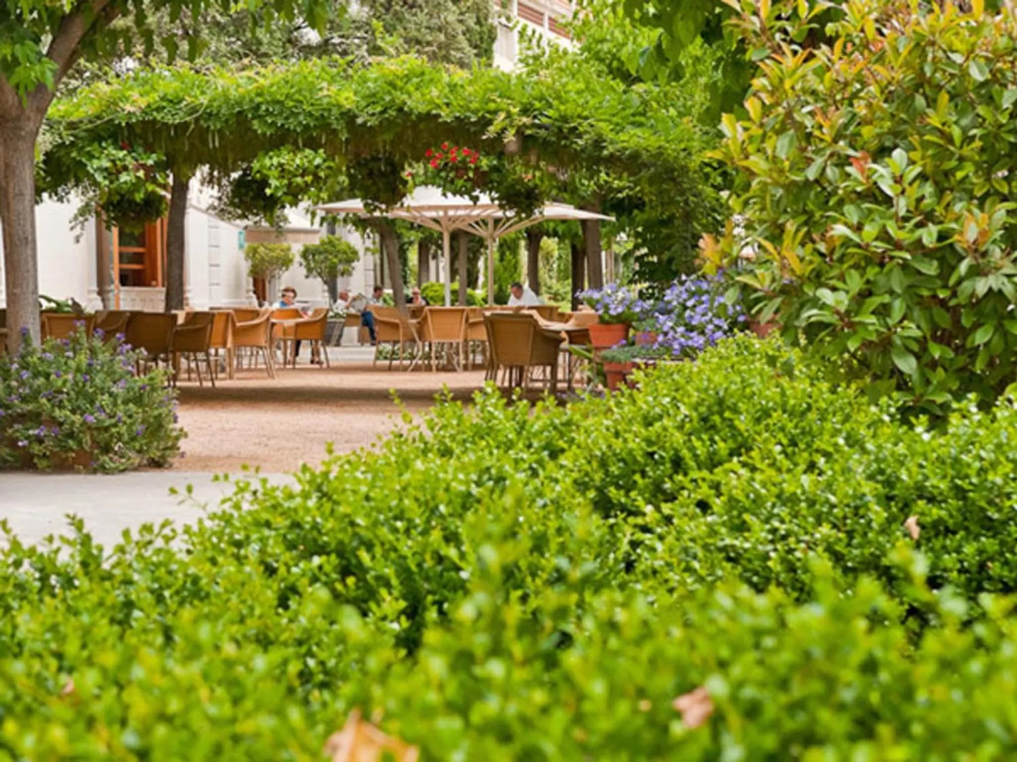 Garden in Hotel Balneario Prats