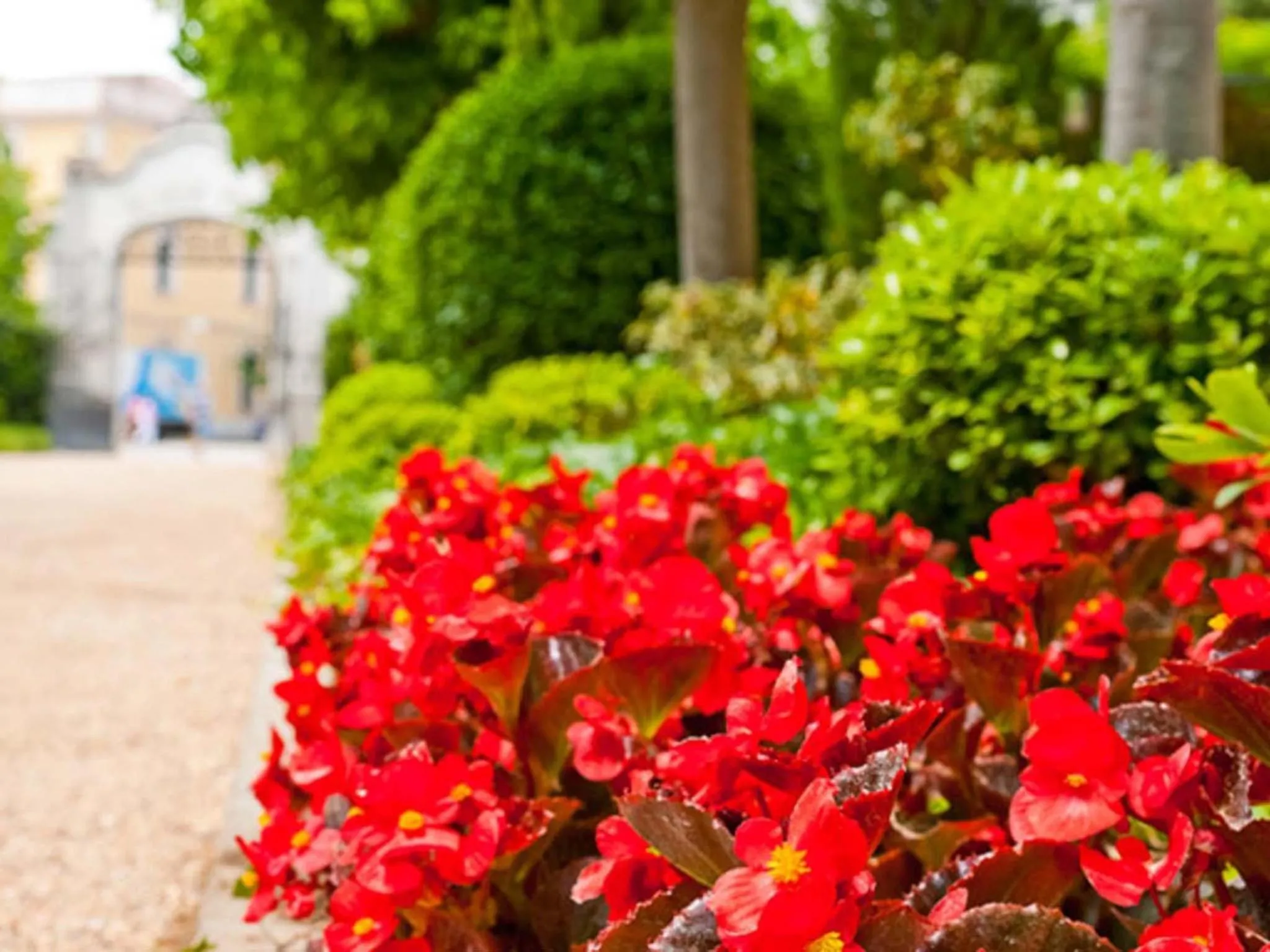 Garden in Hotel Balneario Prats