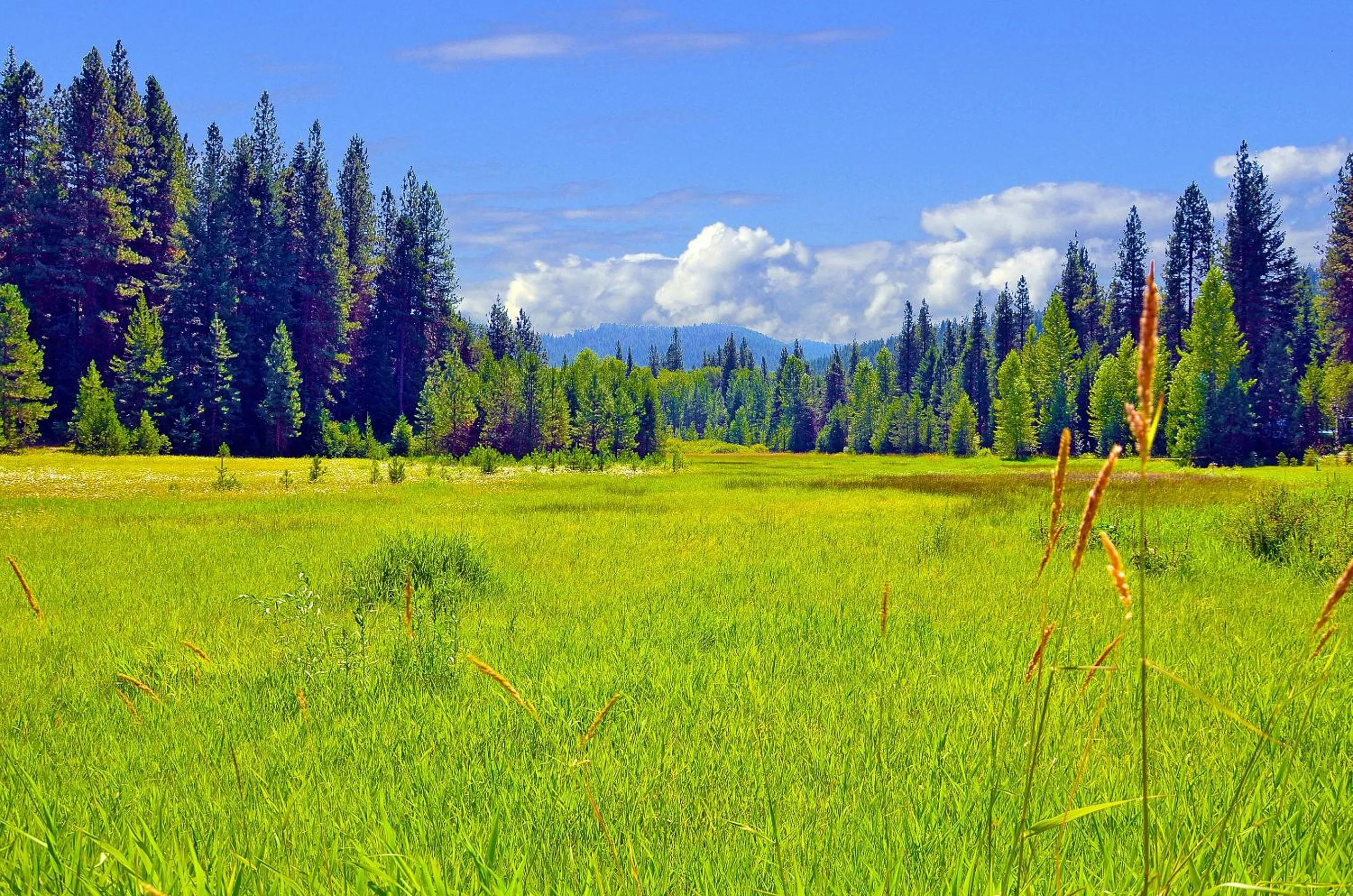 Leavenworth Camping Resort Tiny House Otto