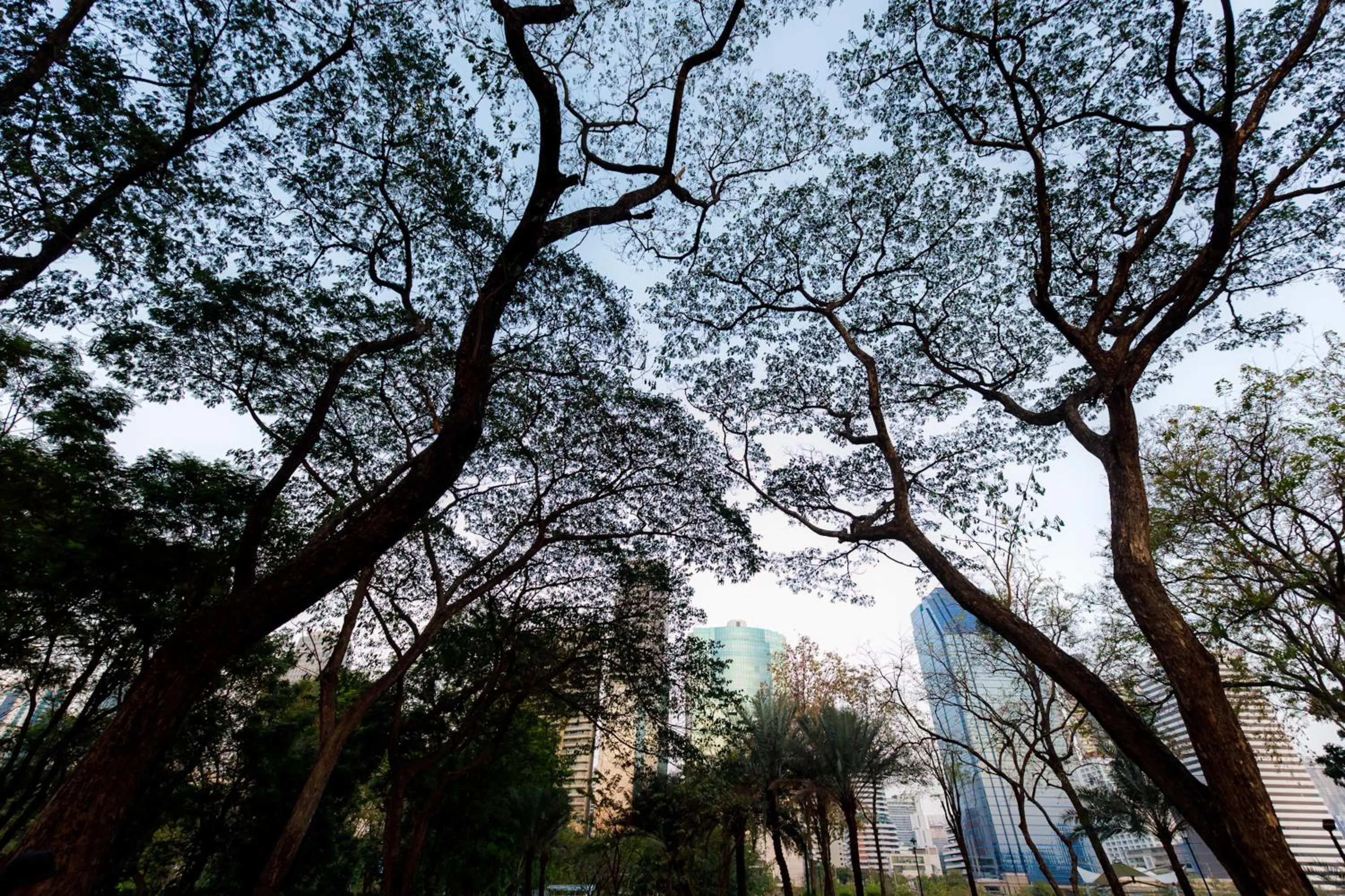 Nearby landmark in Citadines Sukhumvit 16 Bangkok