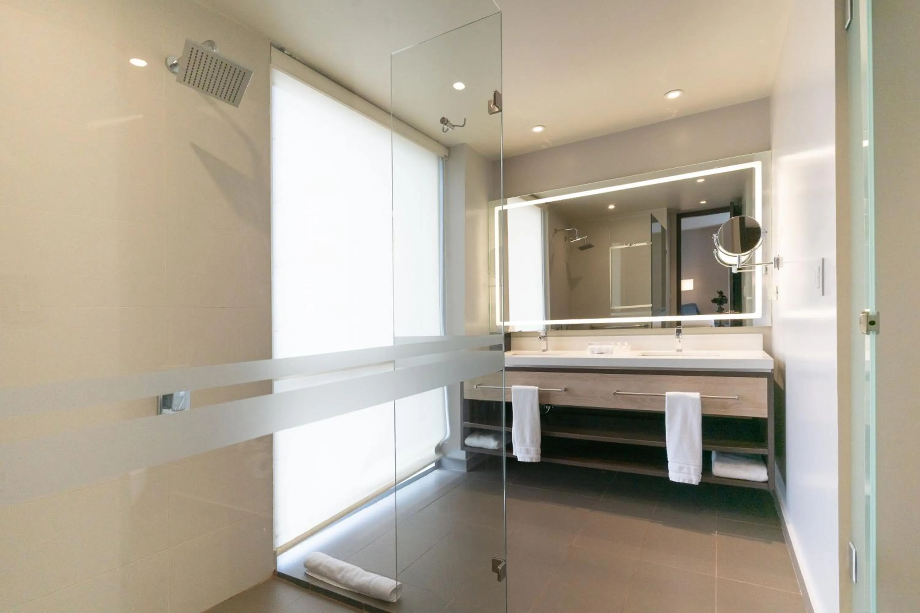 Shower in Hilton Garden Inn Bogota Airport