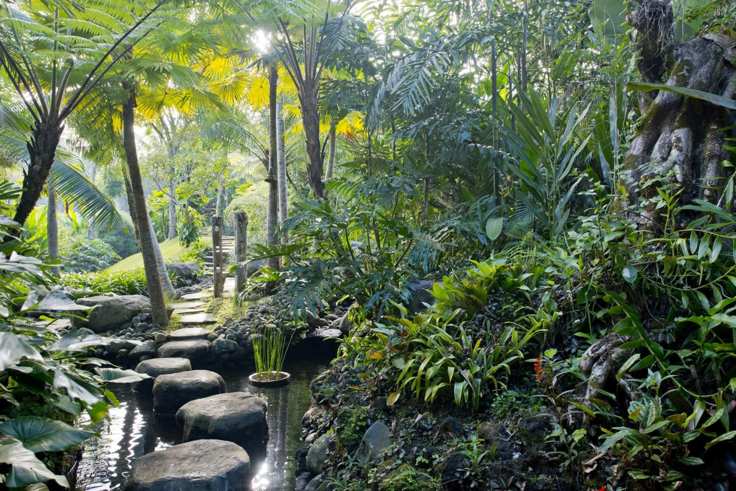 Garden in Adiwana Dara Ayu Villas