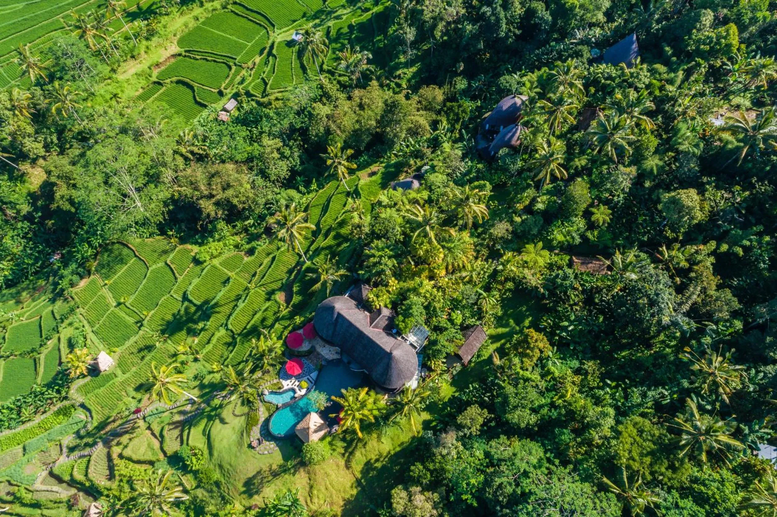Bird's eye view in Adiwana Dara Ayu Villas