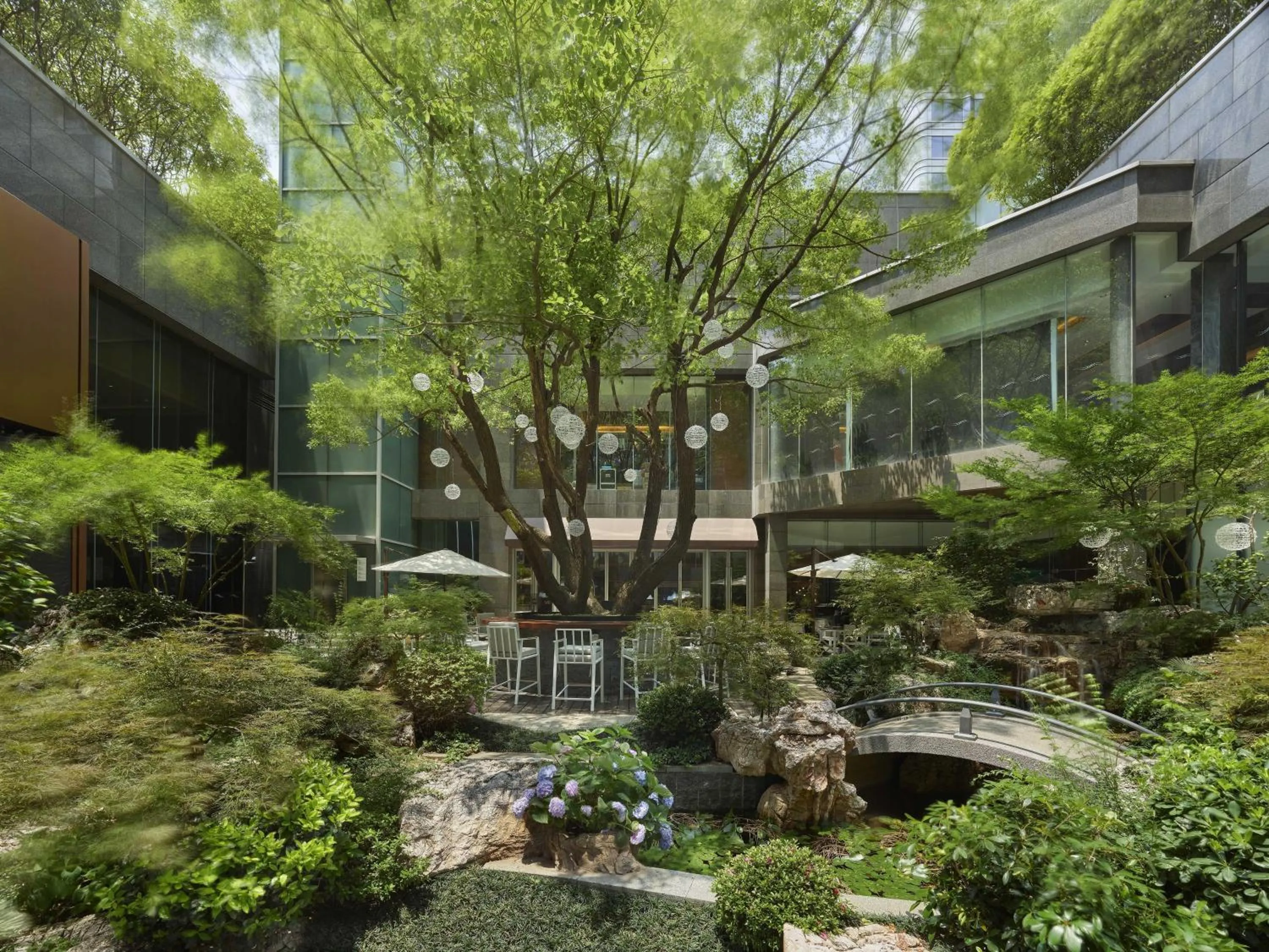 Restaurant/places to eat in Hilton Shanghai Hongqiao