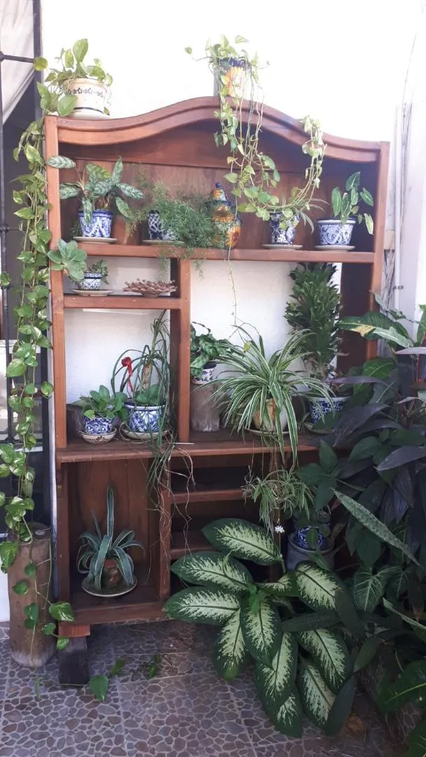 Patio in Casa Nona Azul