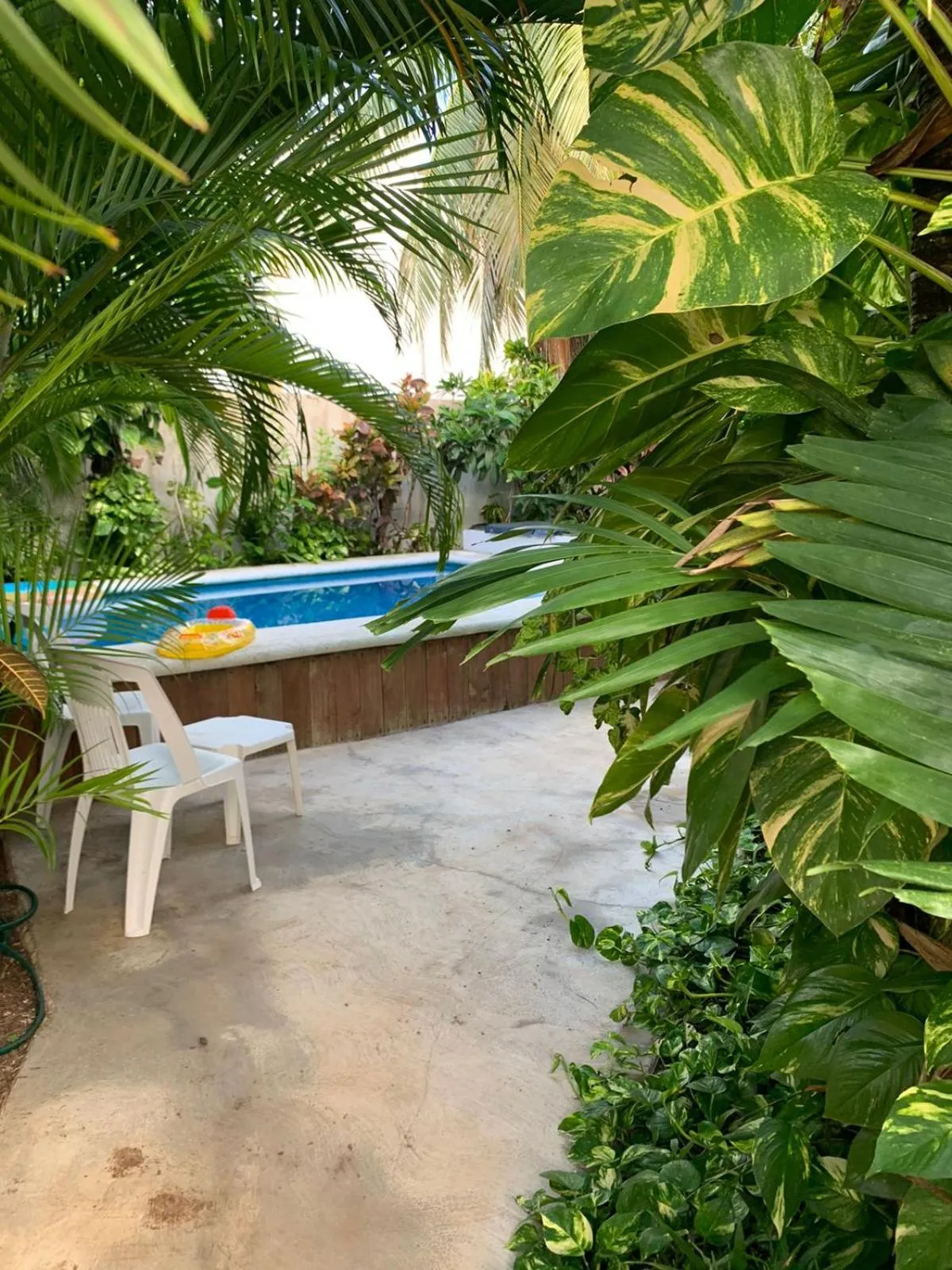 Swimming pool in Casa Nona Azul