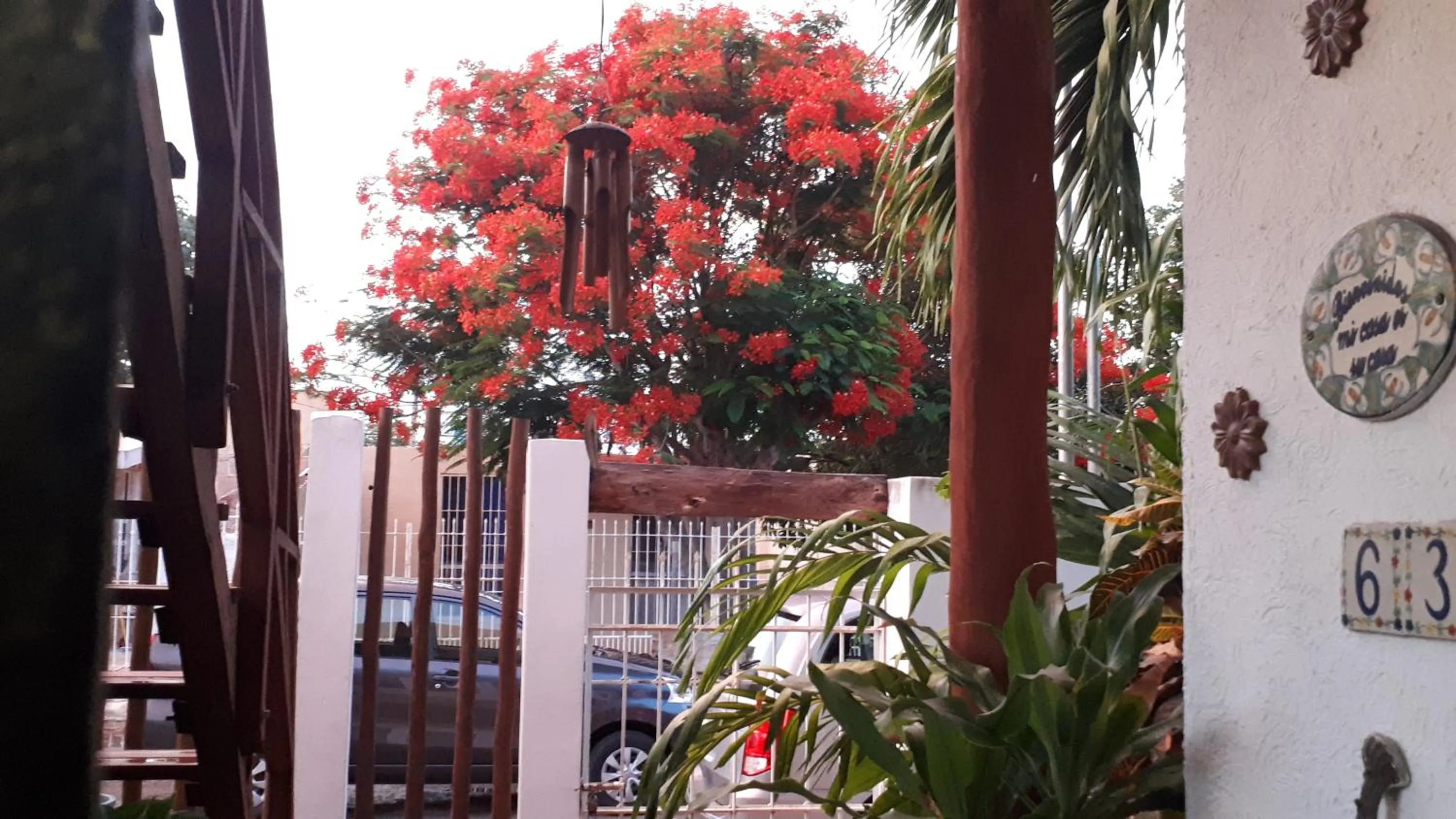 Patio in Casa Nona Azul