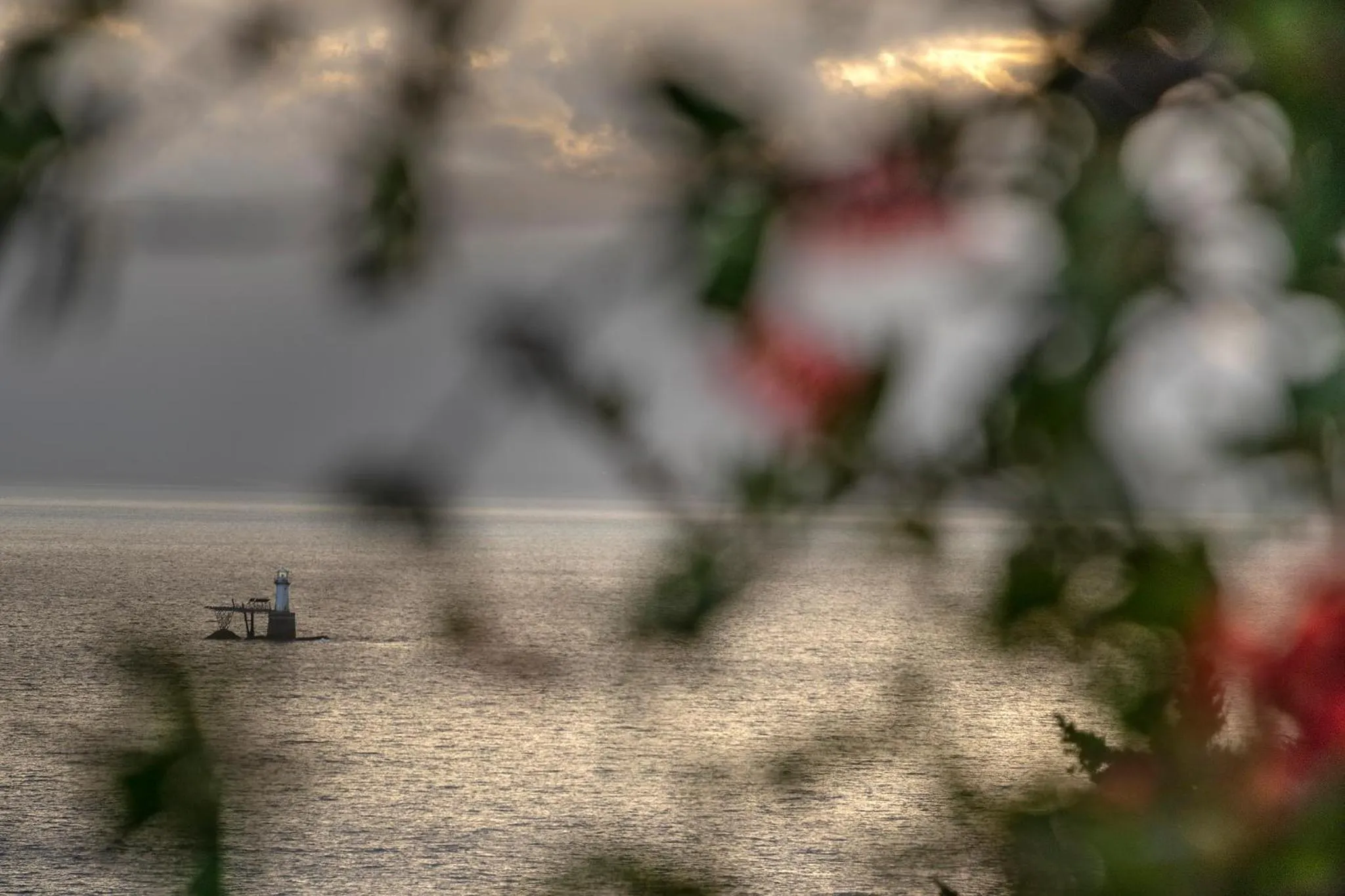 Neighbourhood in The Grosvenor Guest House & Self Catering