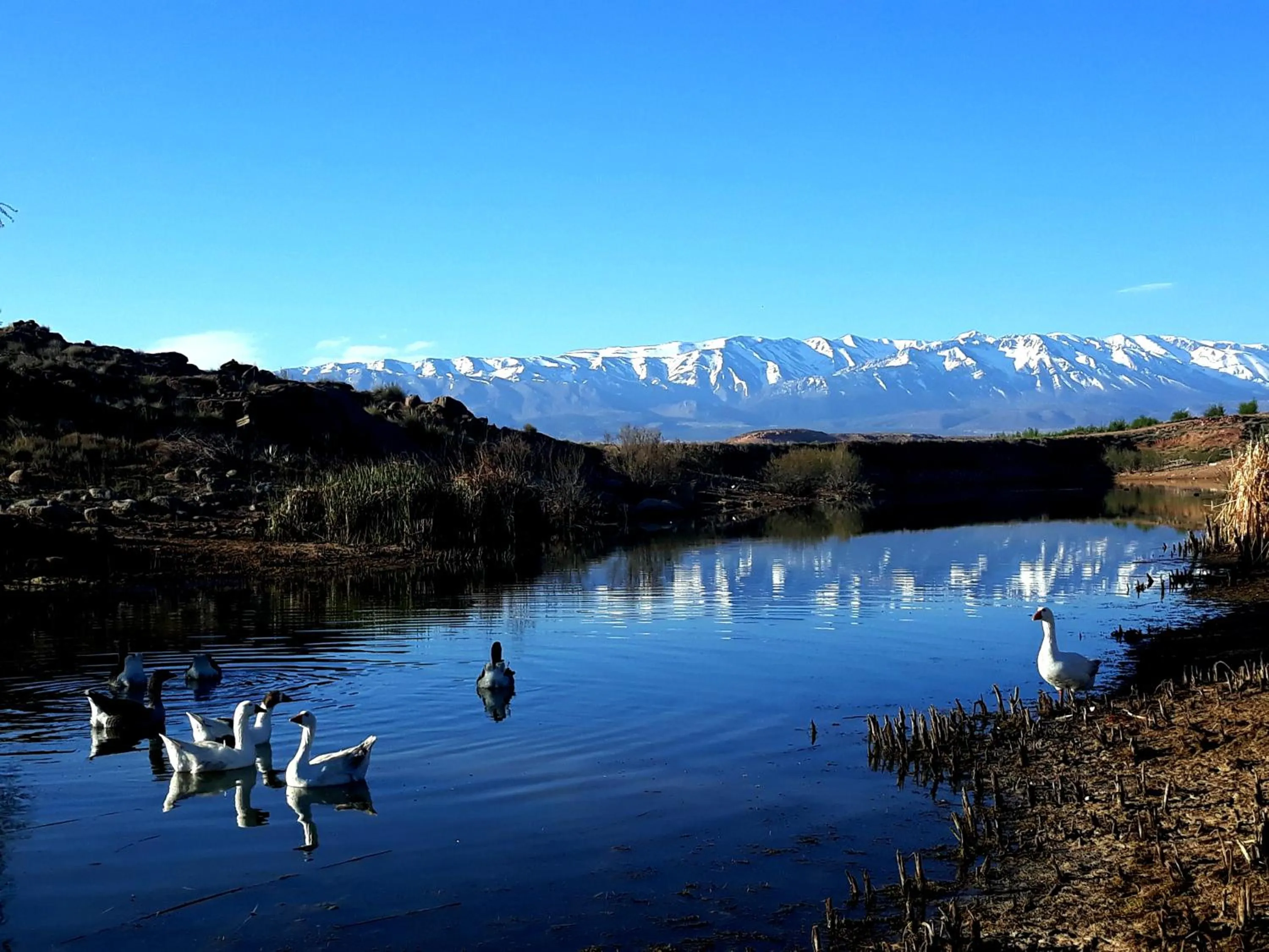 Riad Mimouna De Timnay