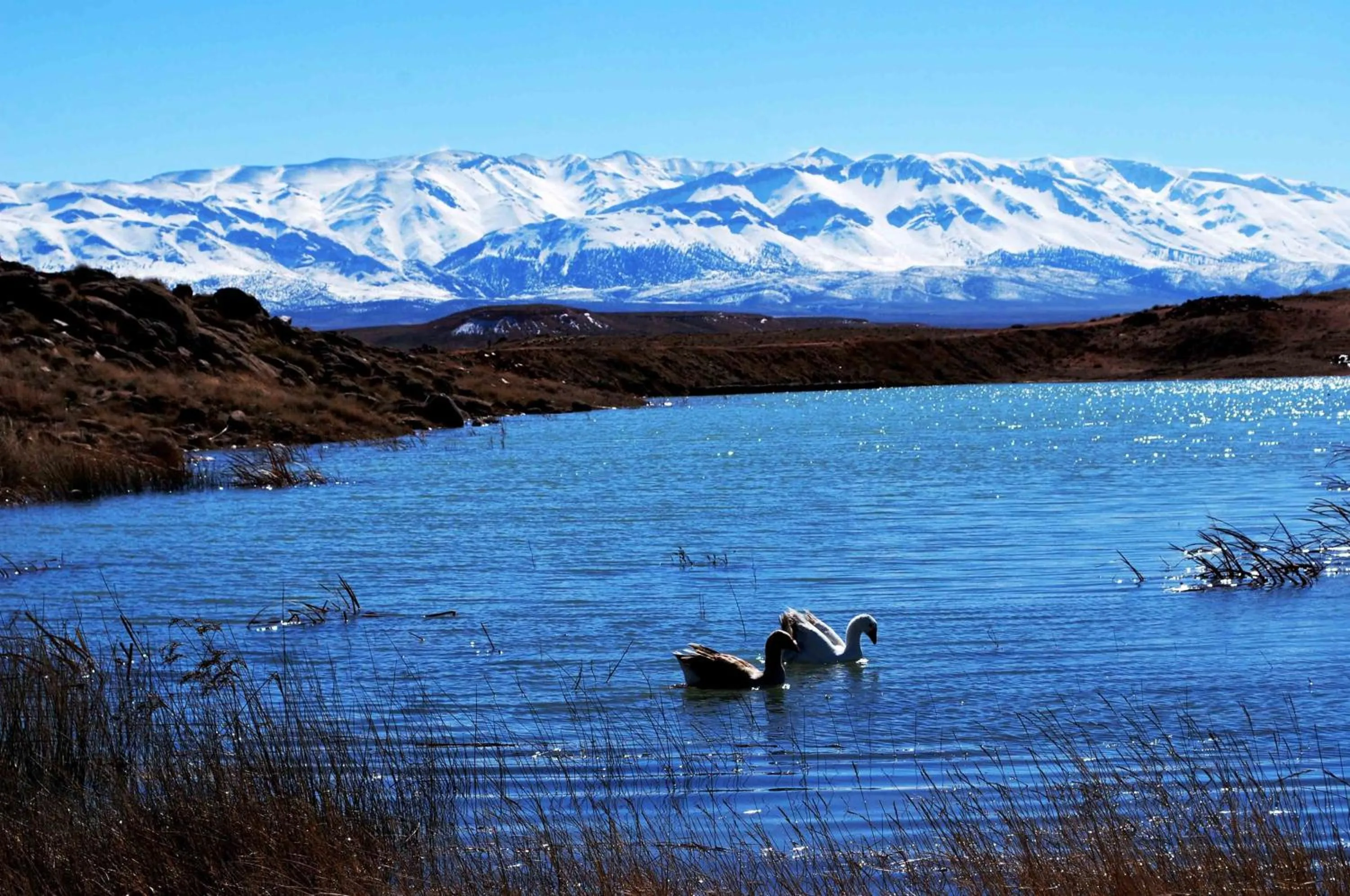 Riad Mimouna De Timnay