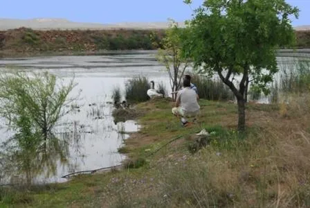 Riad Mimouna De Timnay