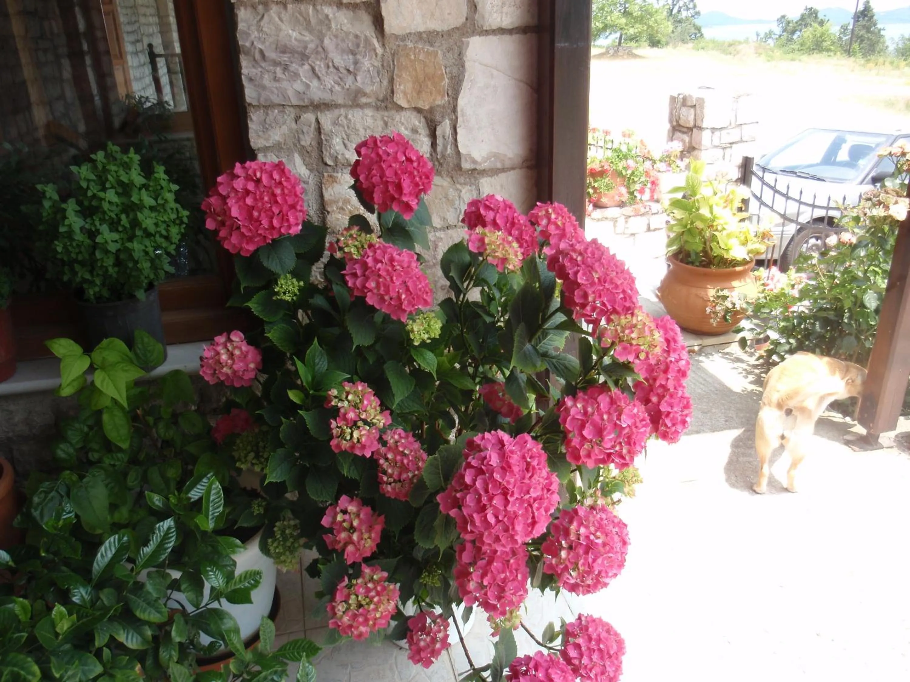 Decorative detail in Hotel Antigoni