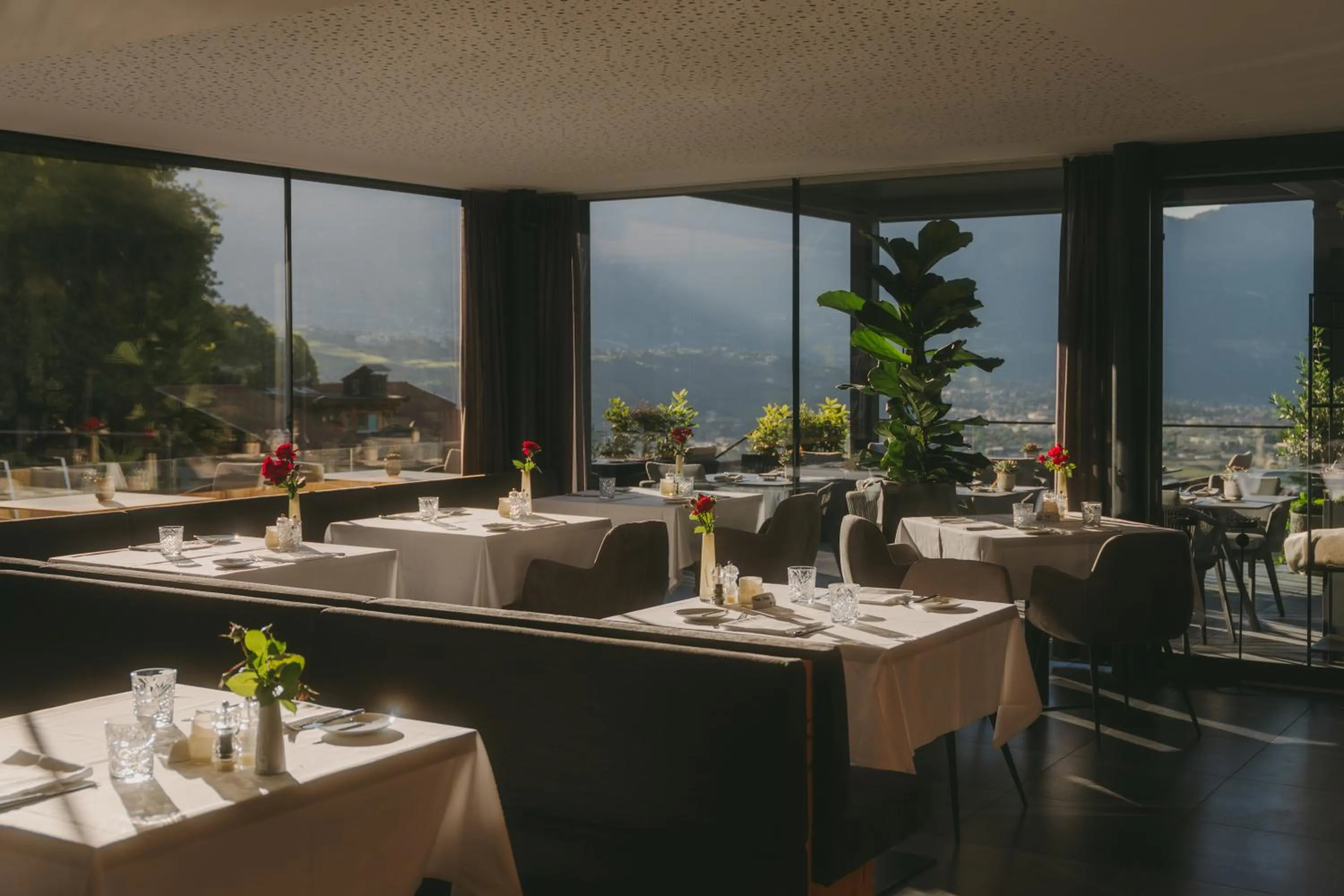 Restaurant/places to eat in Avidea - Adults Only