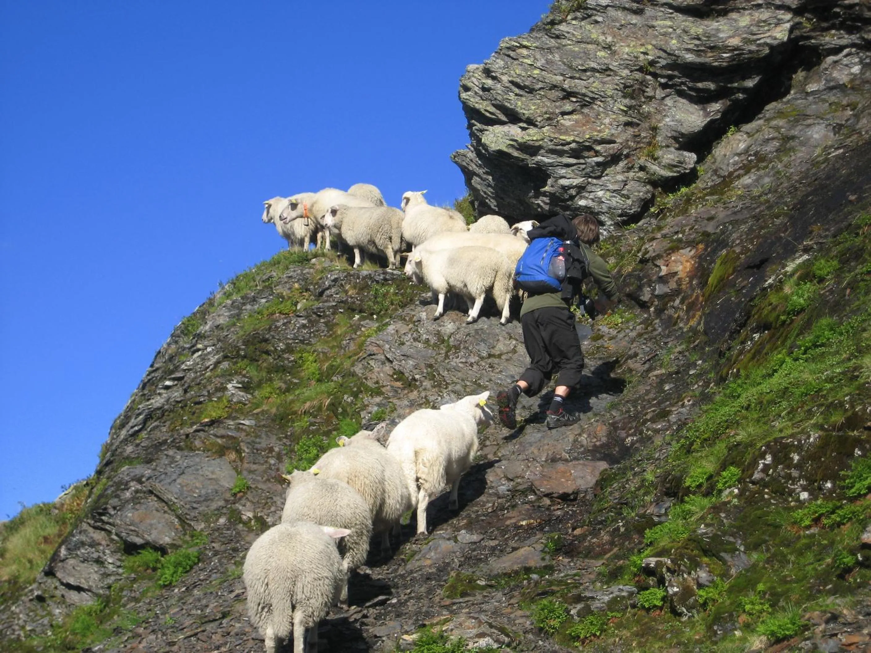 Natural landscape in Strand Fjordhotel