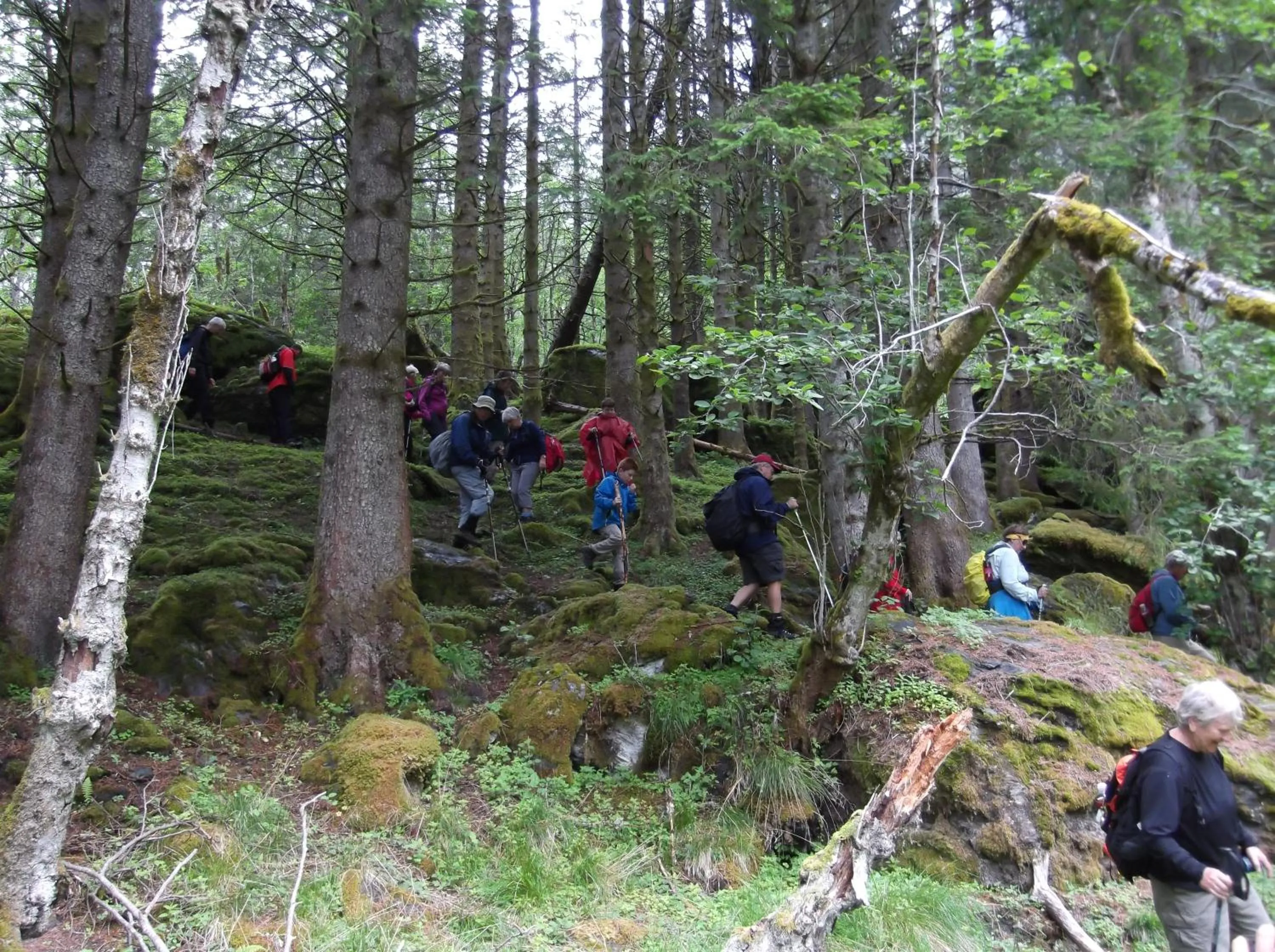 Natural landscape in Strand Fjordhotel