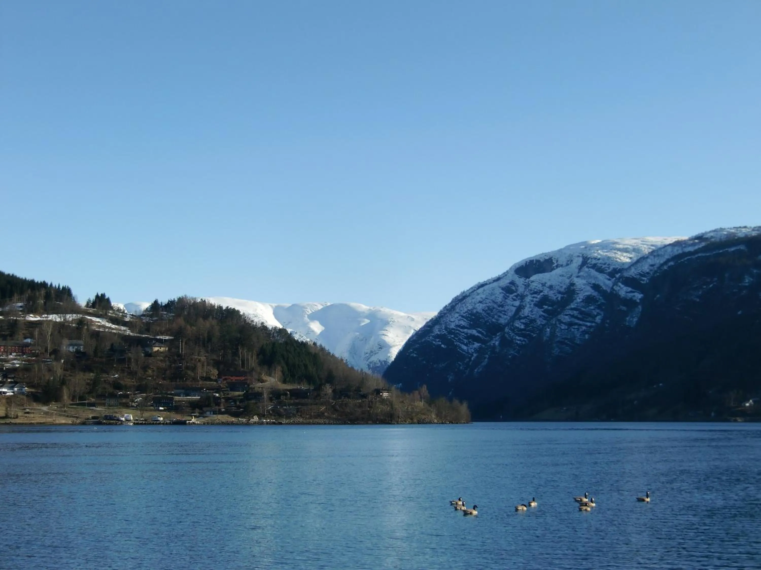 Natural landscape in Strand Fjordhotel