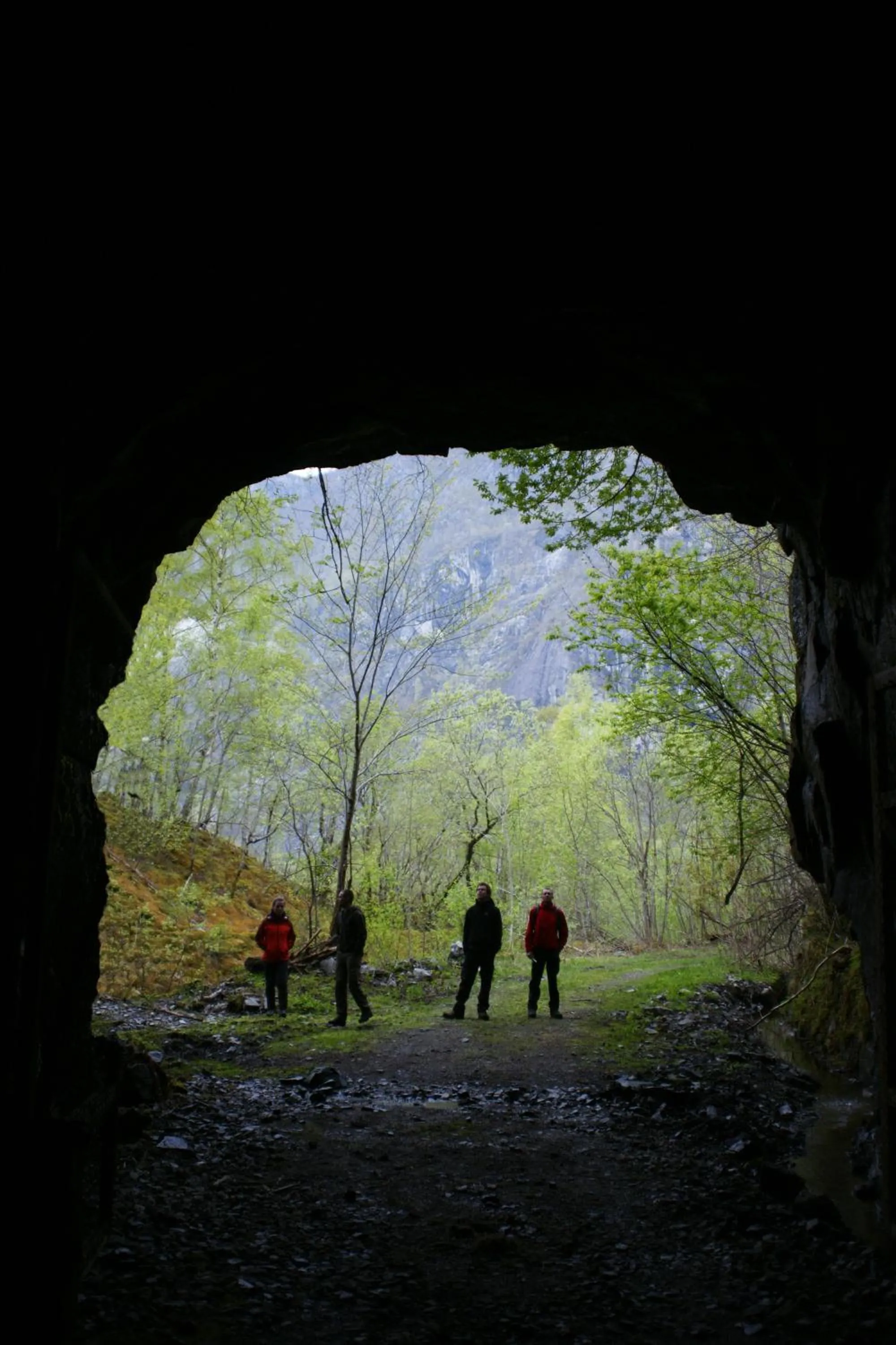 Natural landscape in Strand Fjordhotel