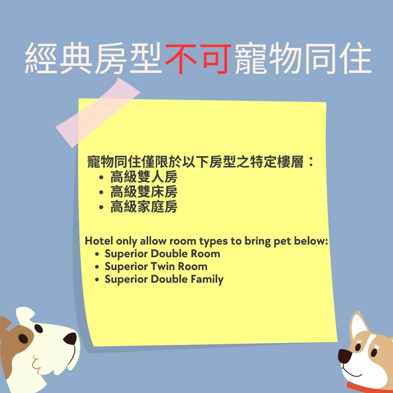 Pets in King Hot Spring Hotel