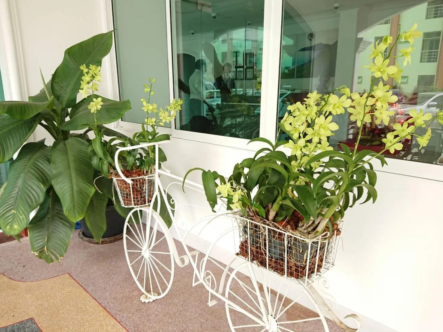 On site in The Royal P Phuket - SHA Plus