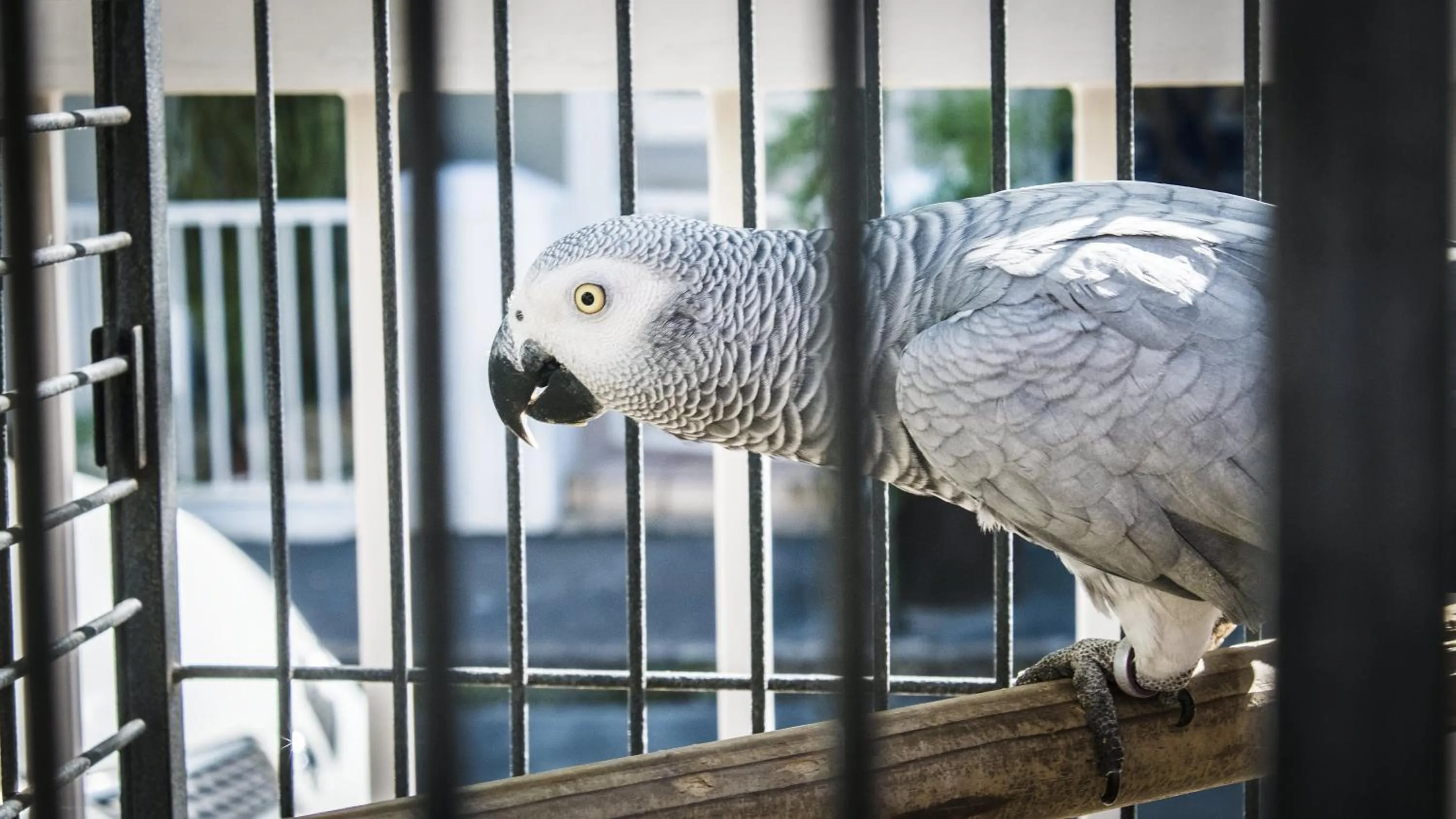 Day in Wilton Manor SOLAR ENERGY