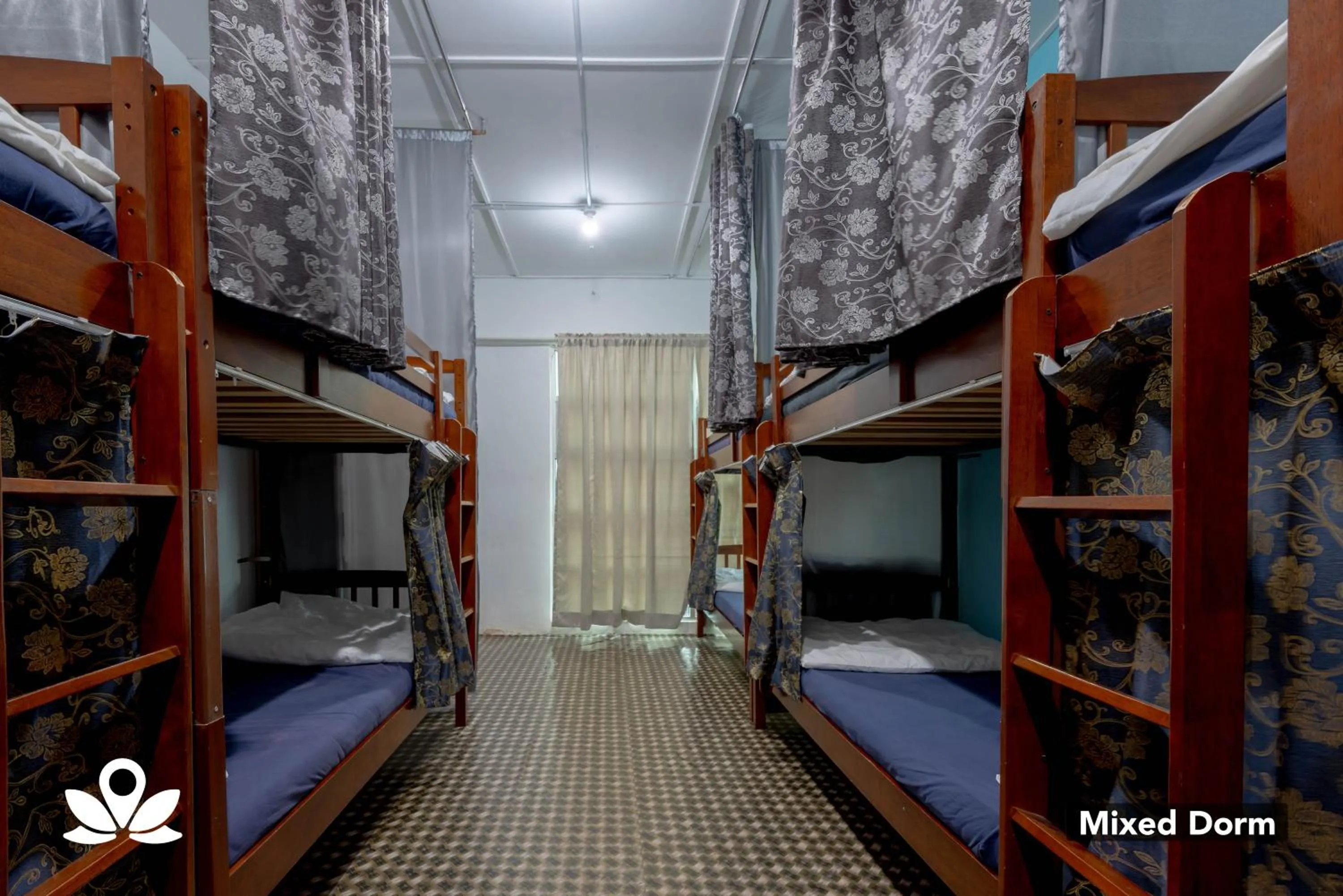 bunk bed, Bed in Island Backpackers