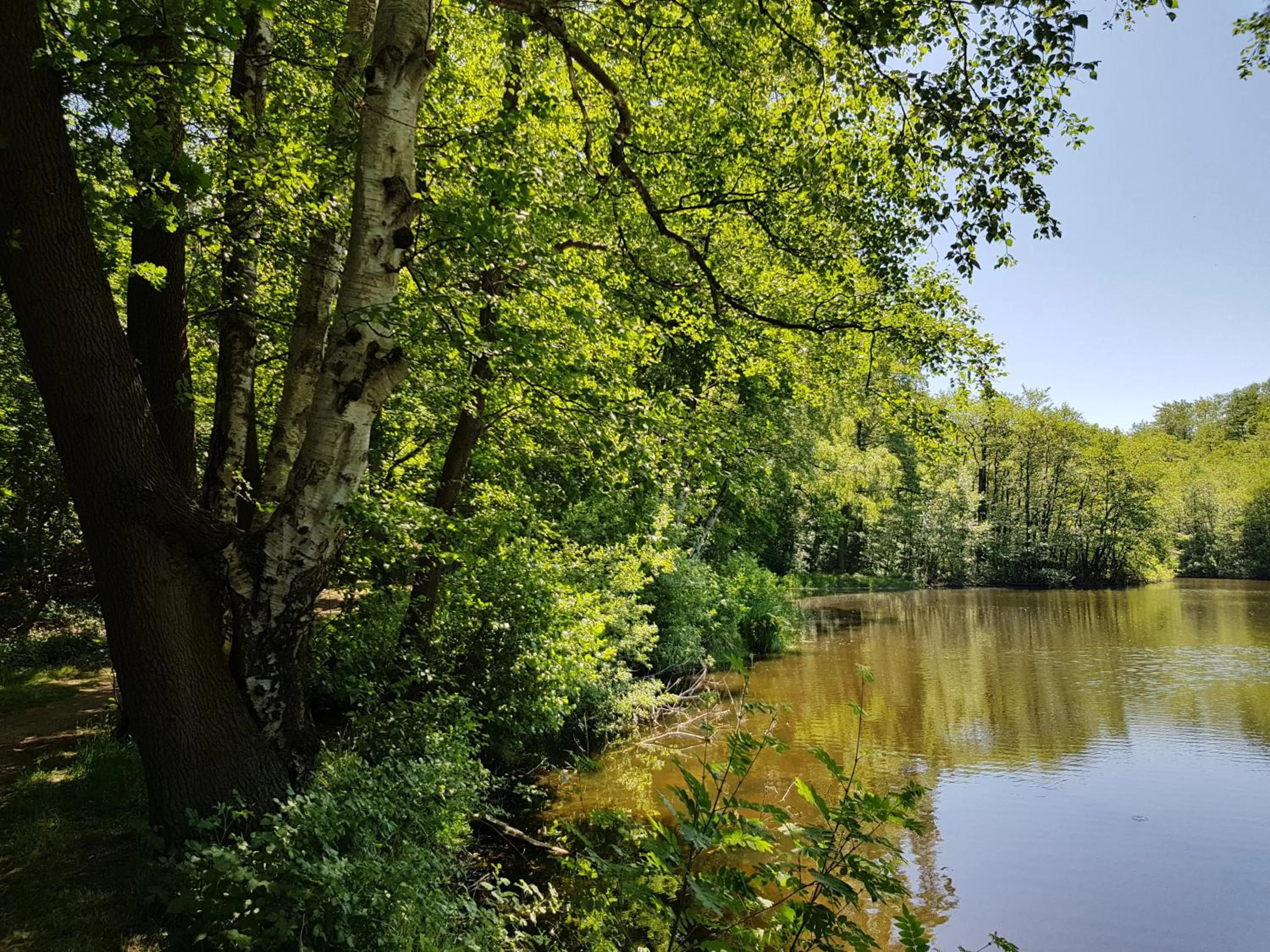 Natural landscape in Hanse Hotel Buxtehude