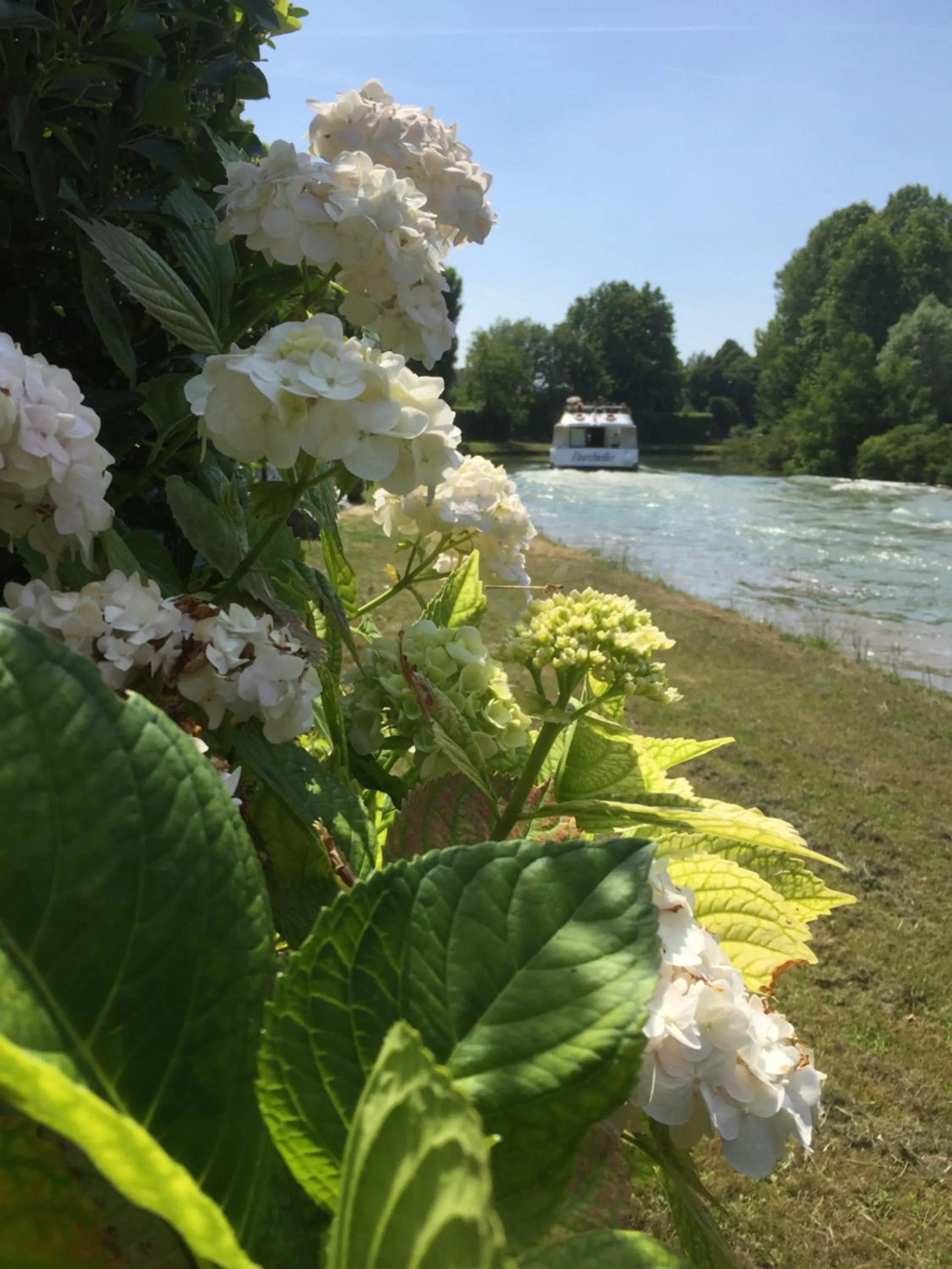 Natural landscape in Dimora Naviglio