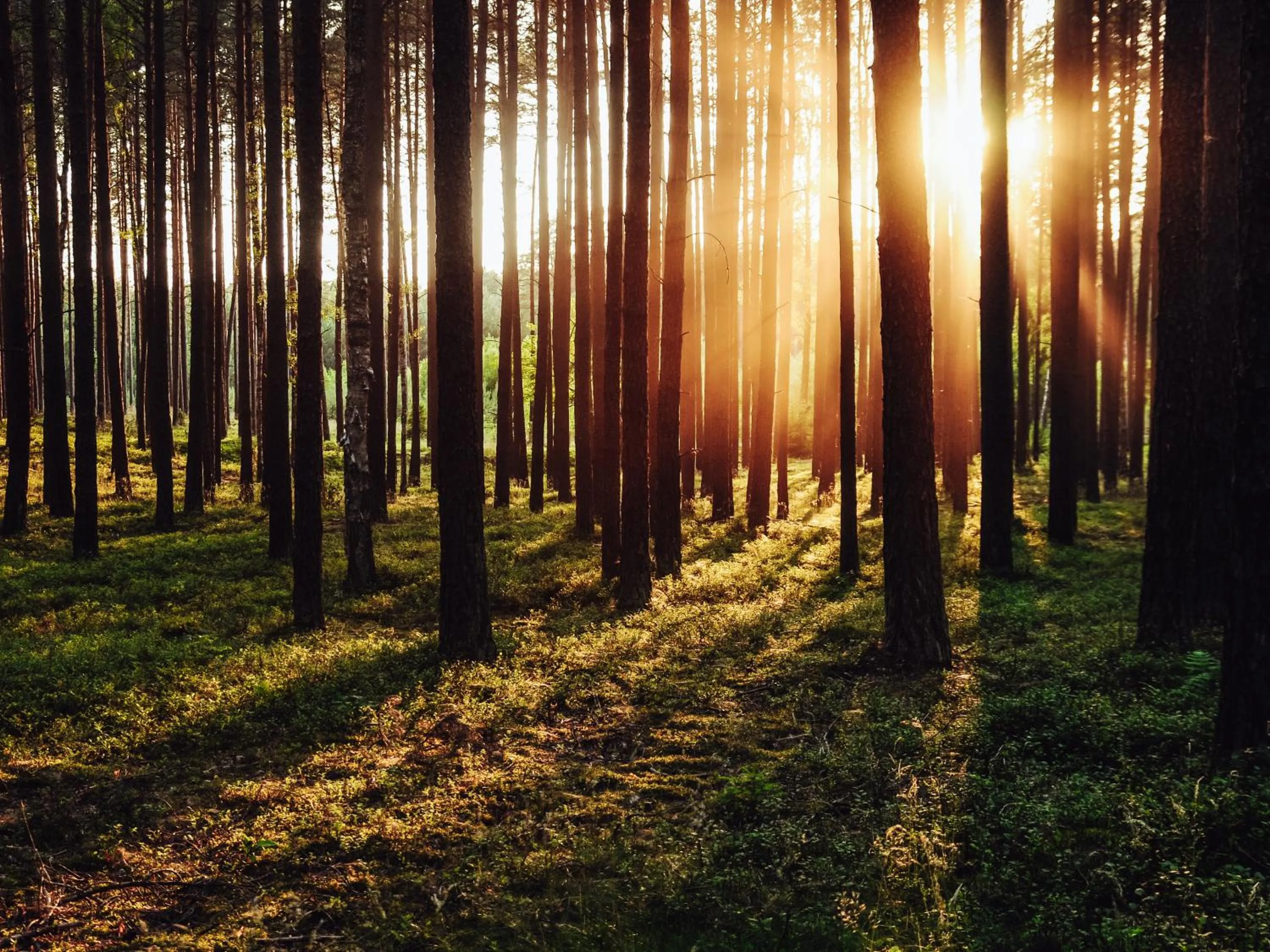 Neighbourhood in Przystanek Tleń