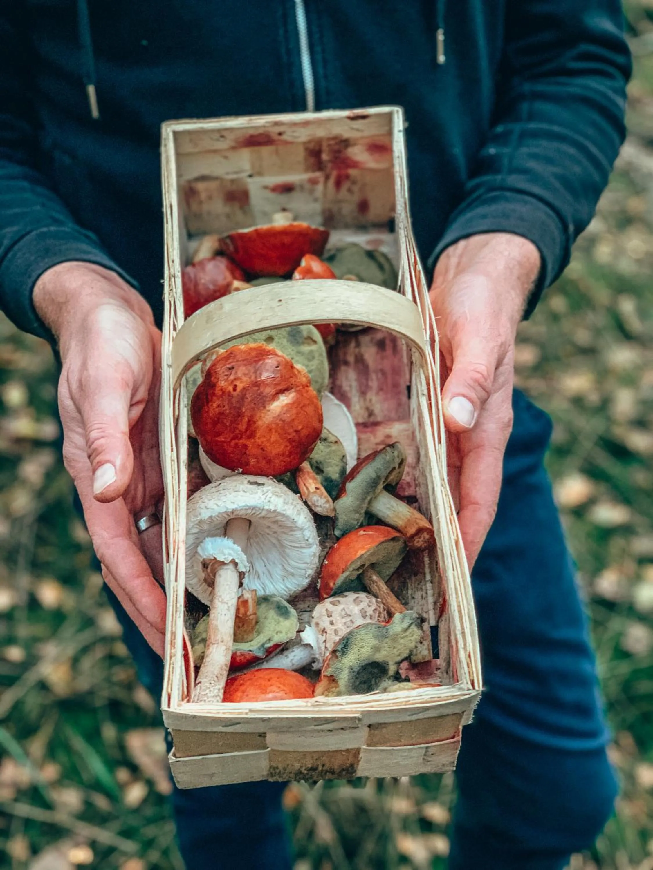 Natural landscape in Przystanek Tleń
