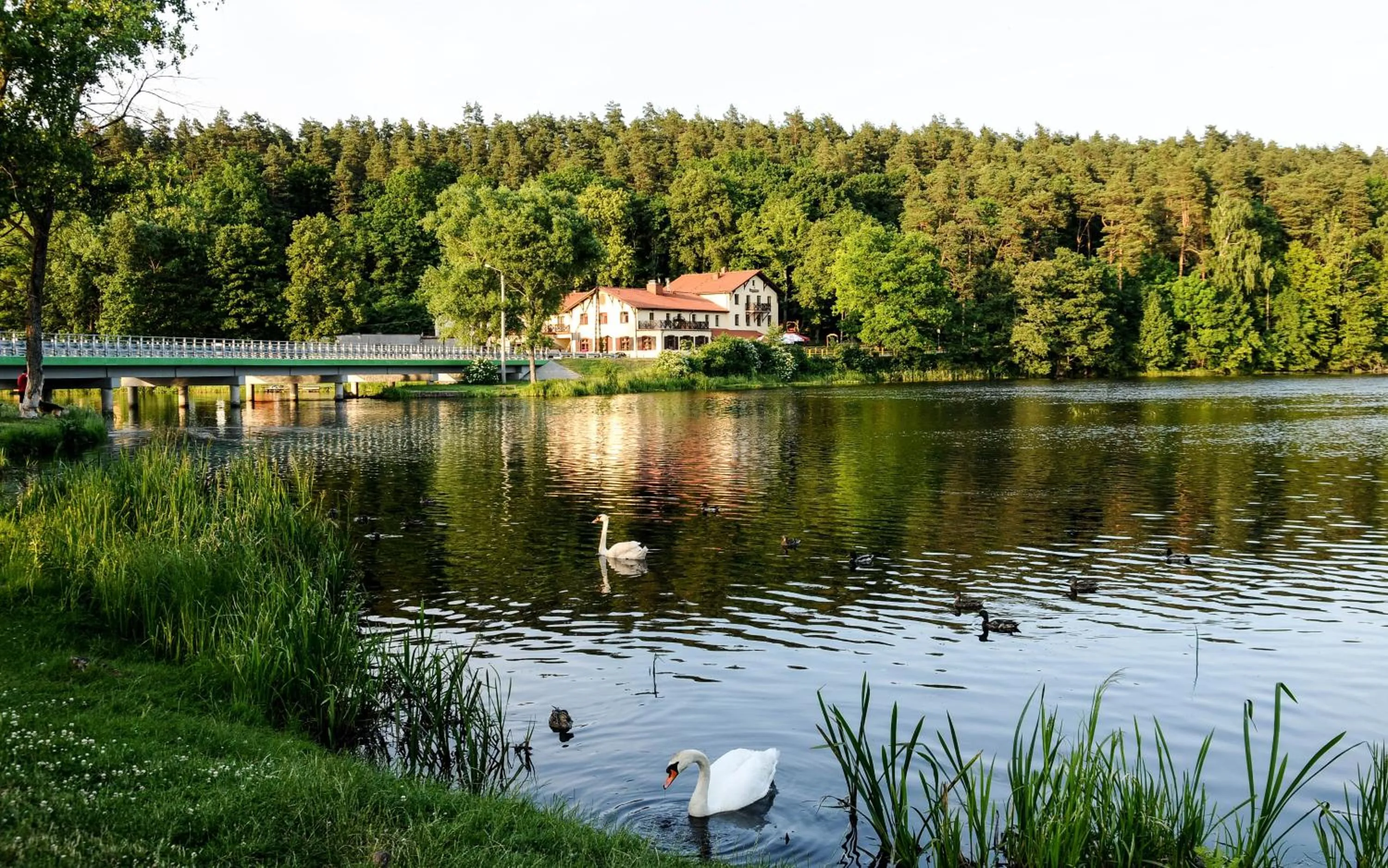 Lake view in Przystanek Tleń