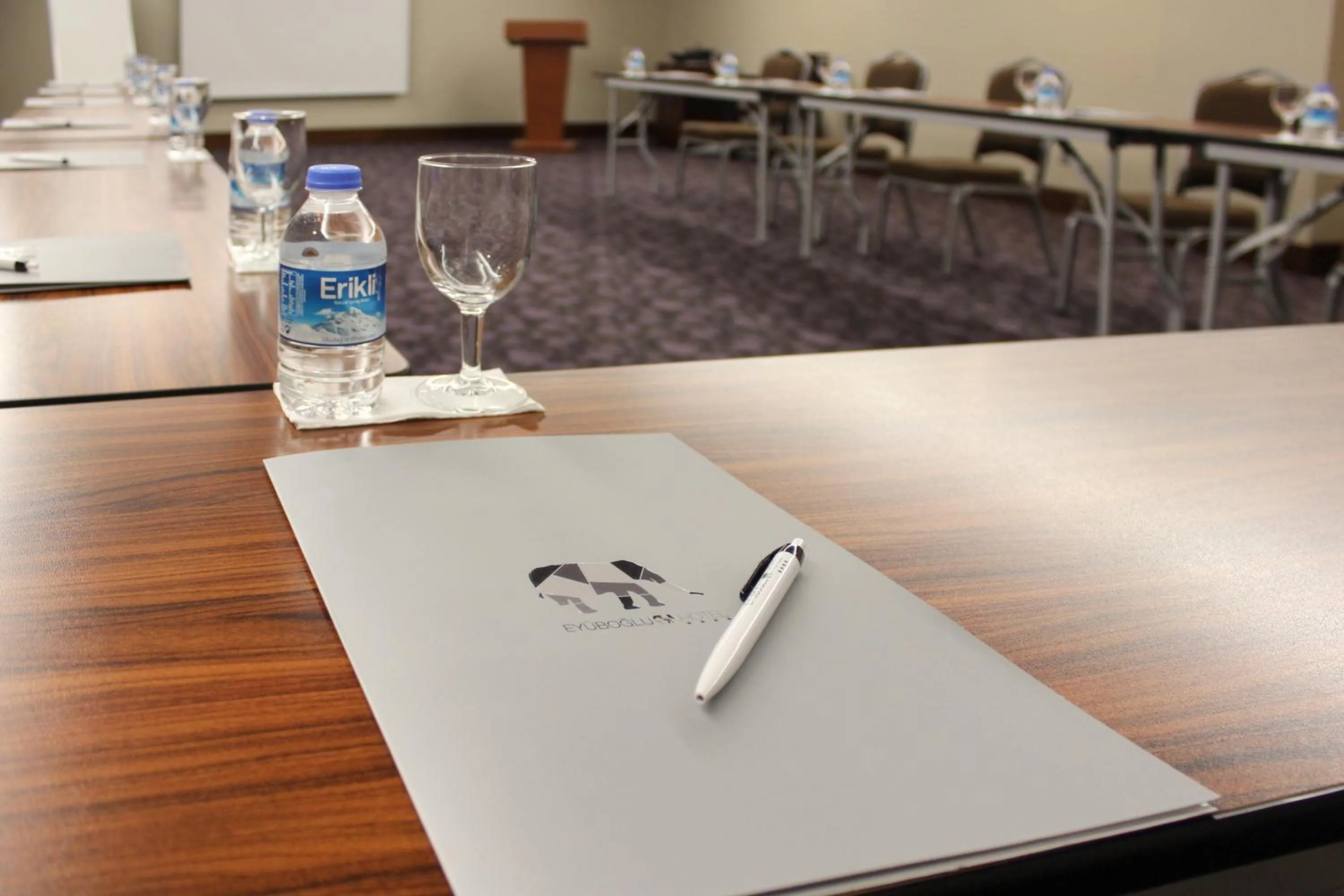 Meeting/conference room in Eyuboglu Hotel