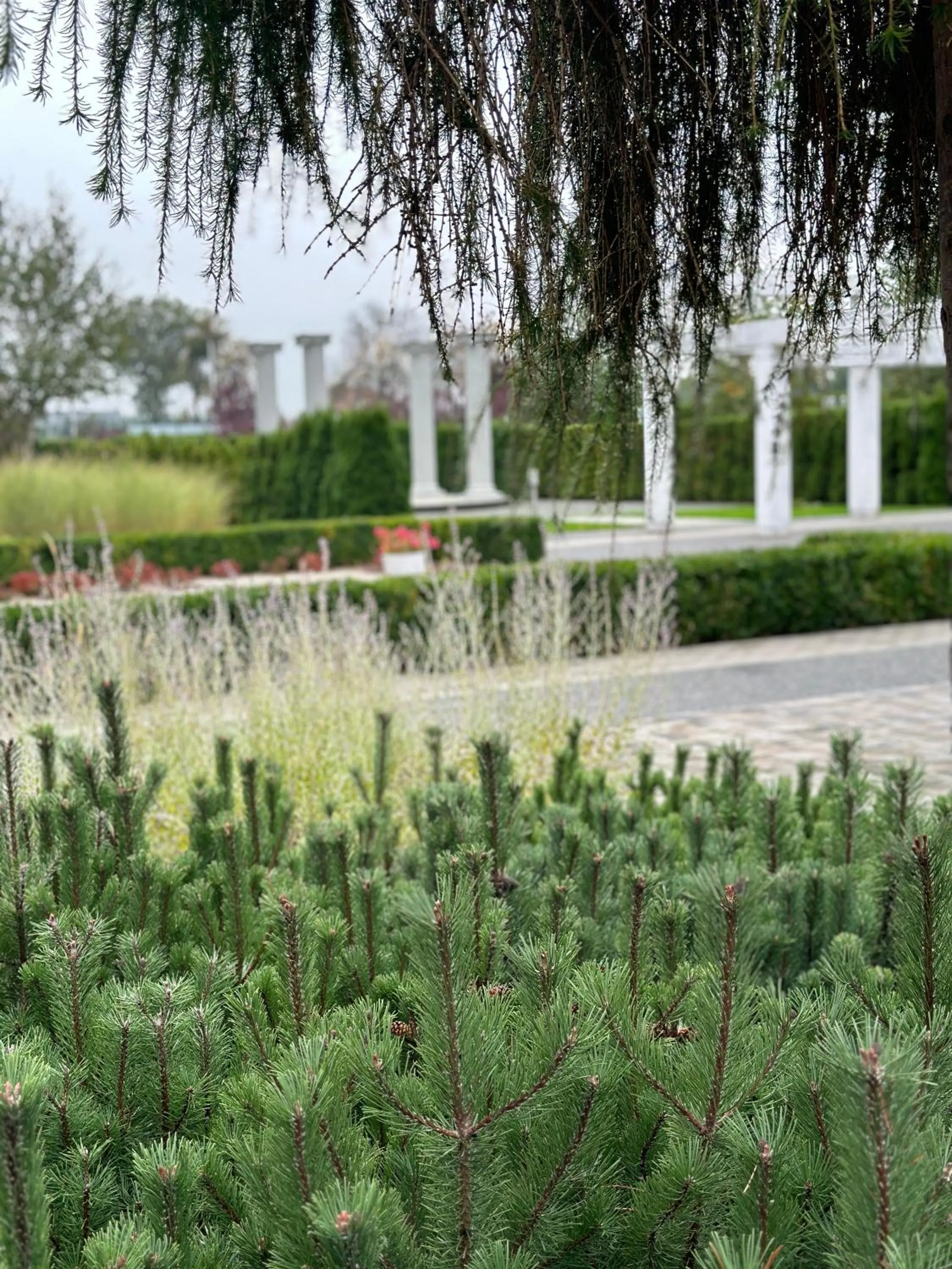 Off site in Hotel Lamberton