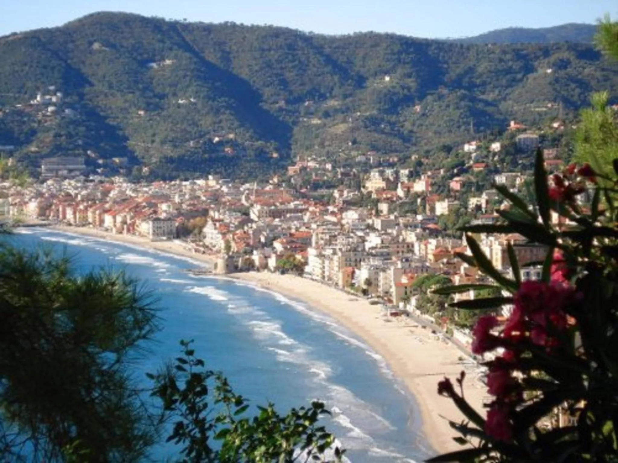 Natural landscape in Hotel Regina