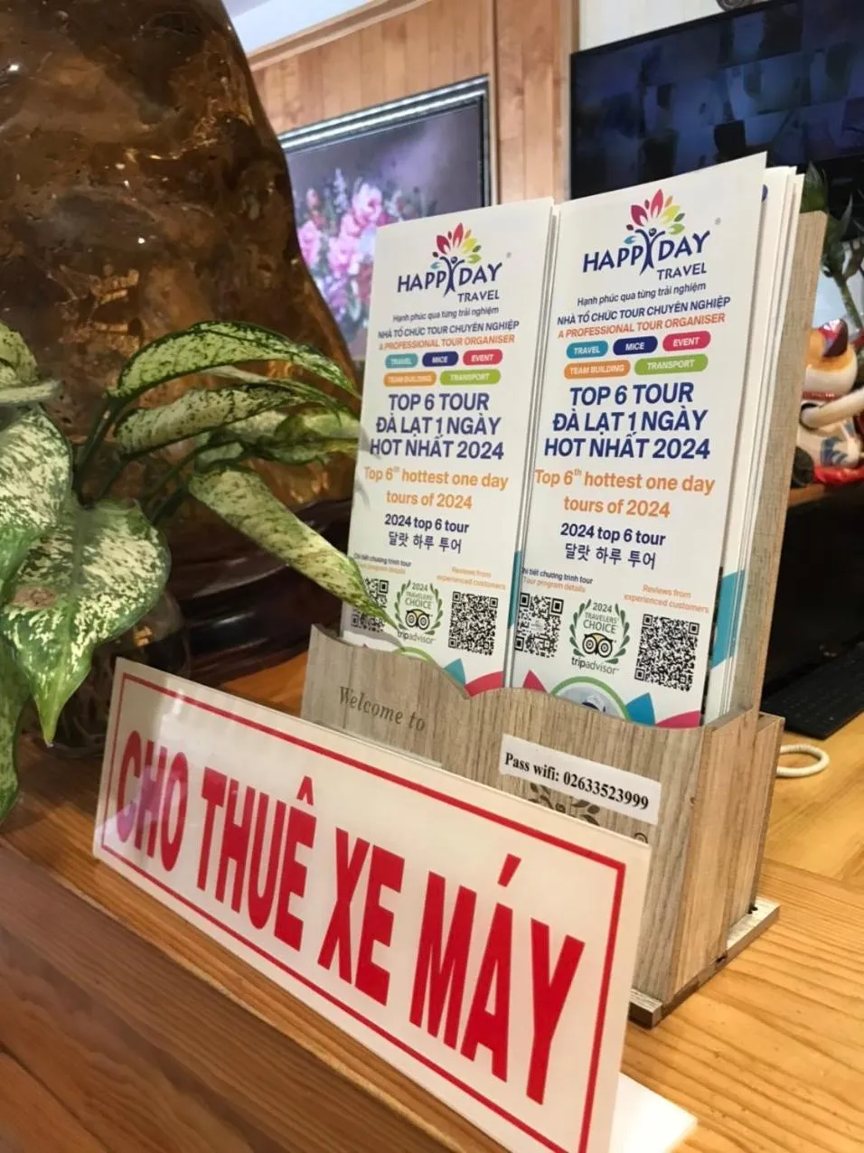 Activities in Hotel Phuong Nghi