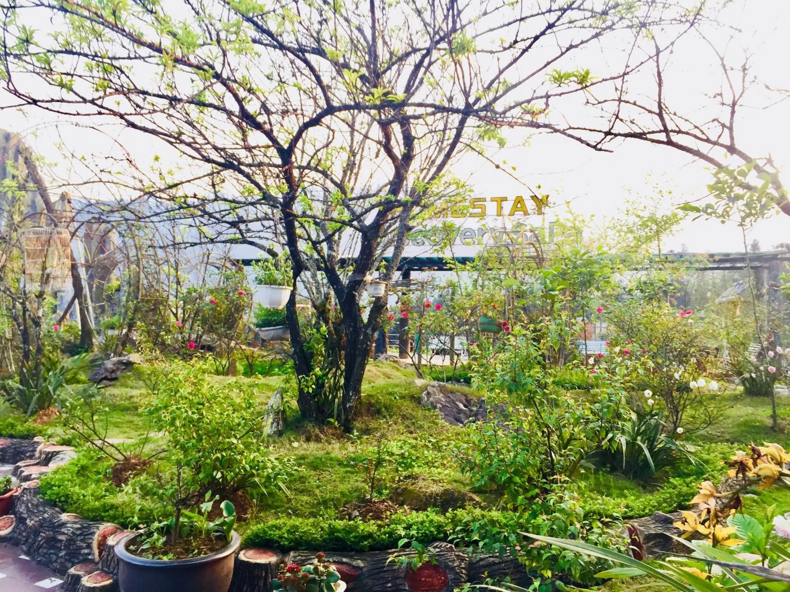 Homestay Discovery Sapa